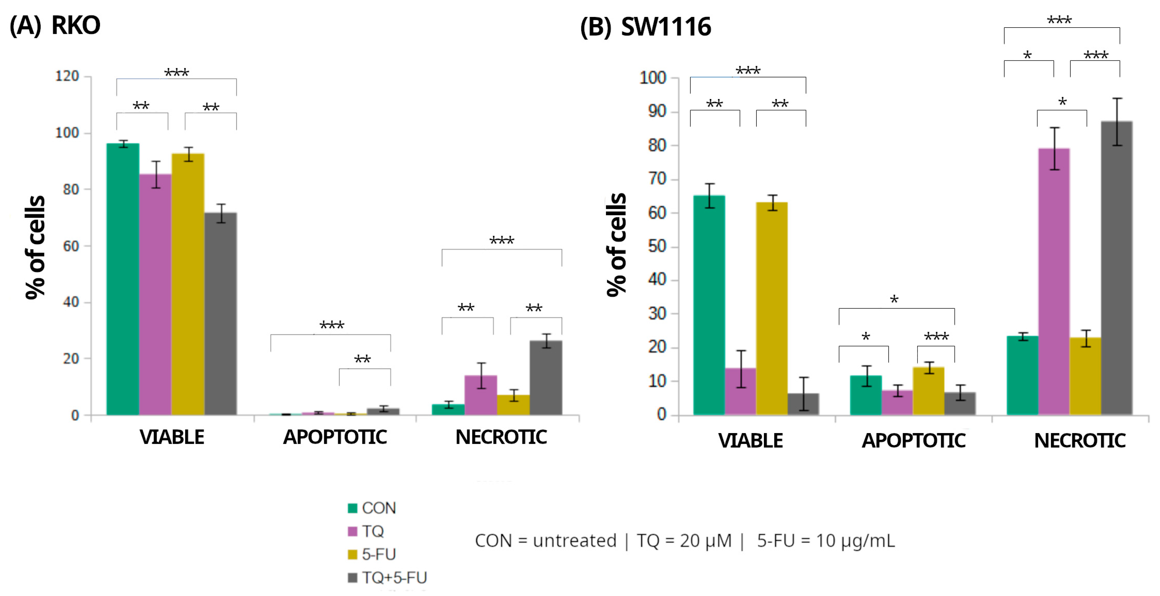 Molecules 31 00512 g006