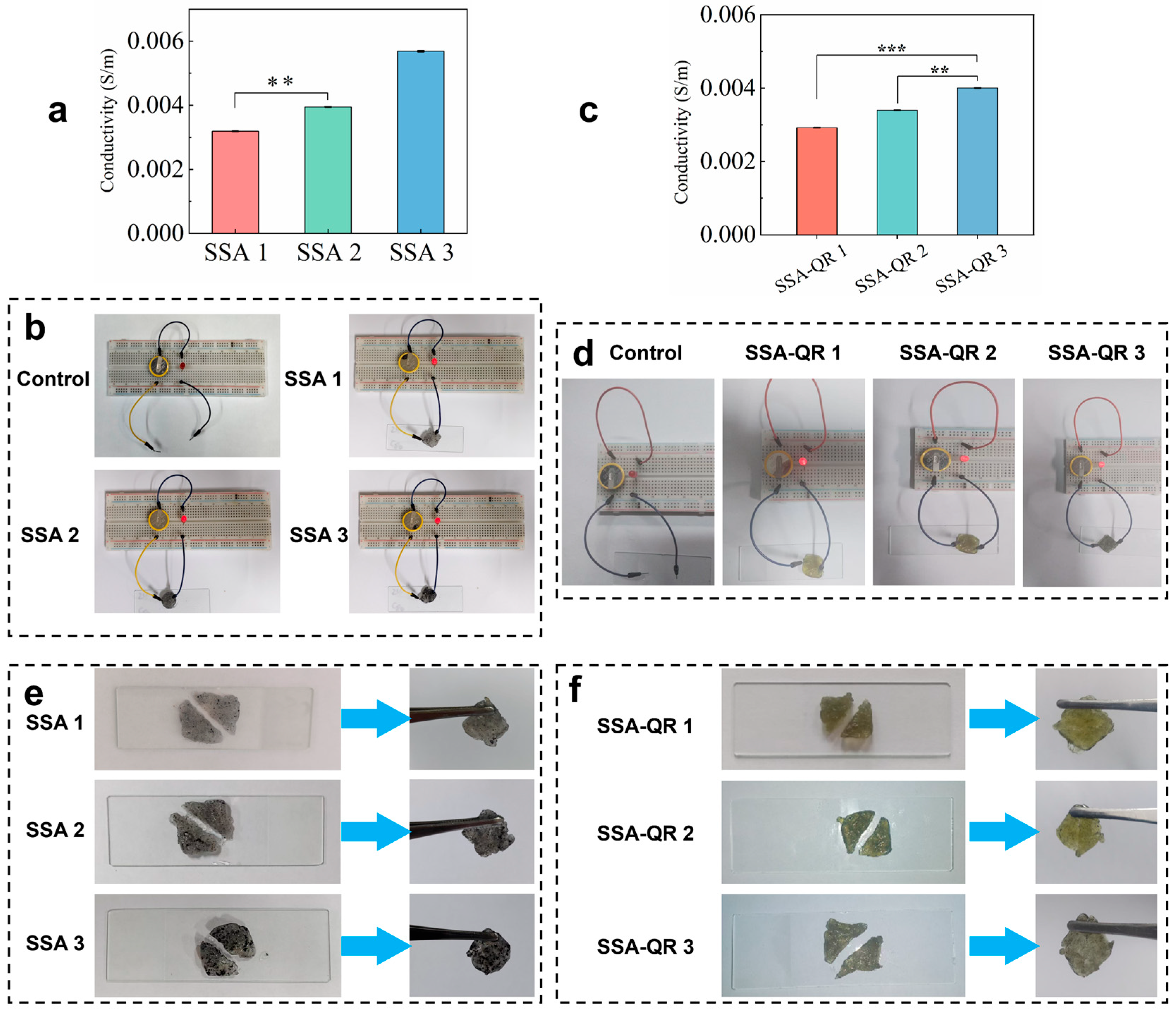 Molecules 31 00527 g004