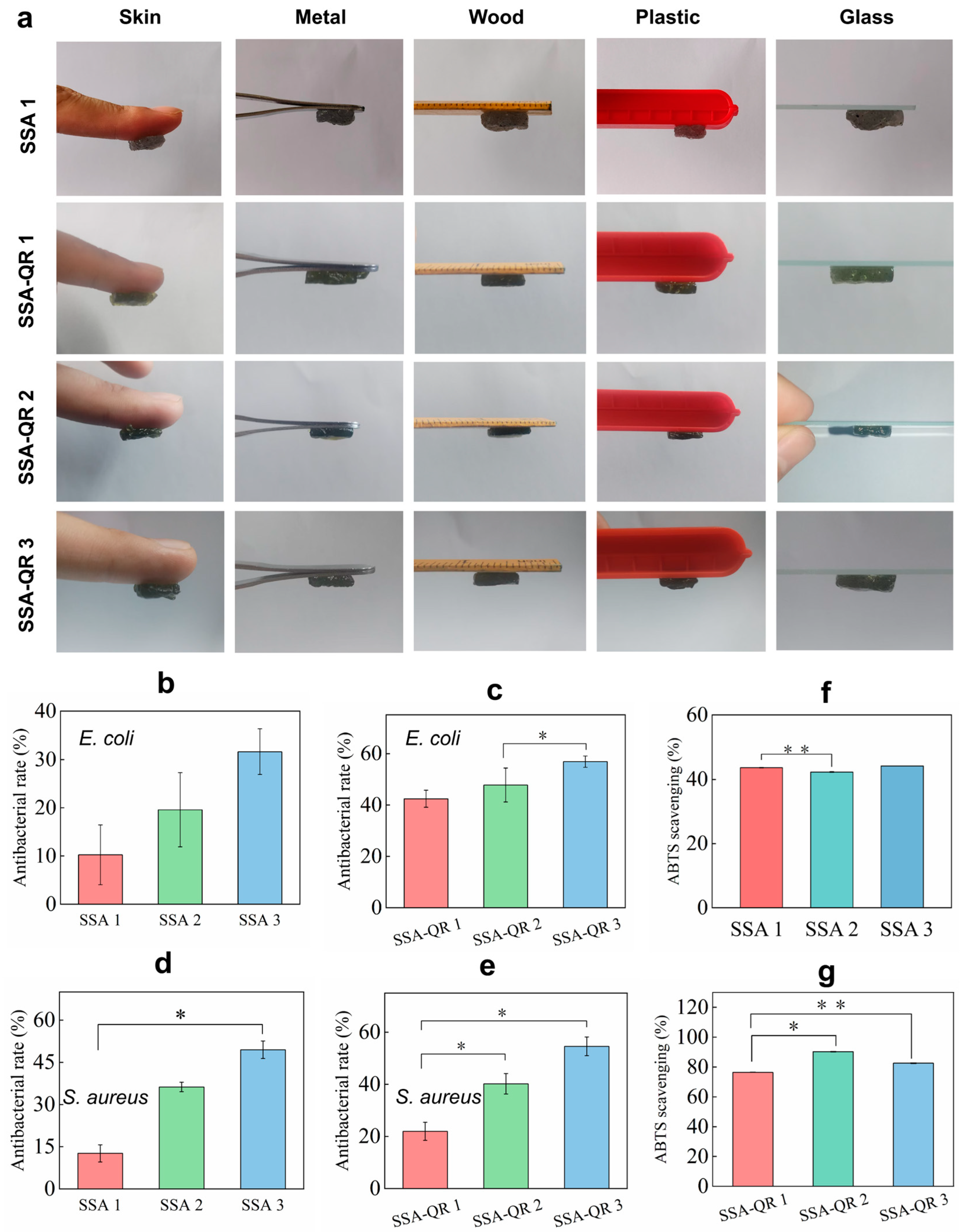 Molecules 31 00527 g005