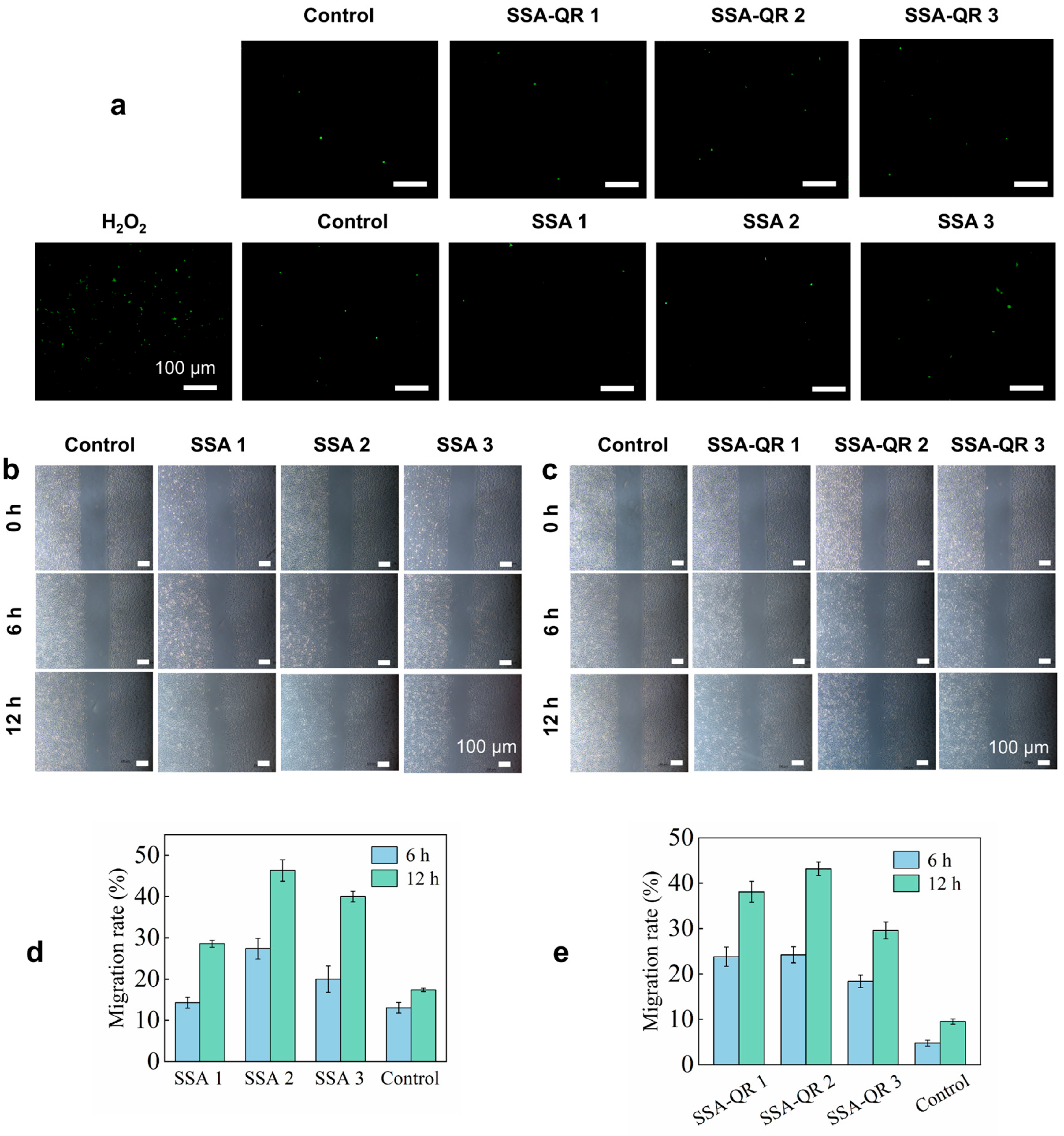 Molecules 31 00527 g007
