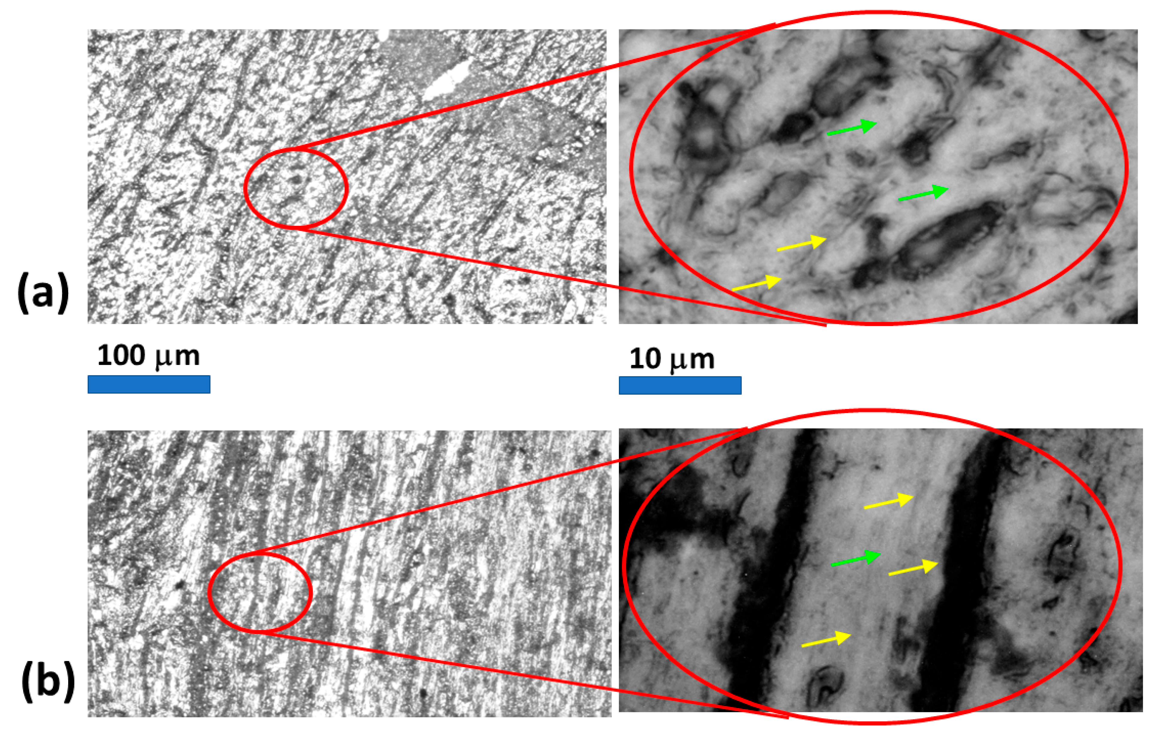 Molecules 31 00530 g003 Molecules 31 00530 g003