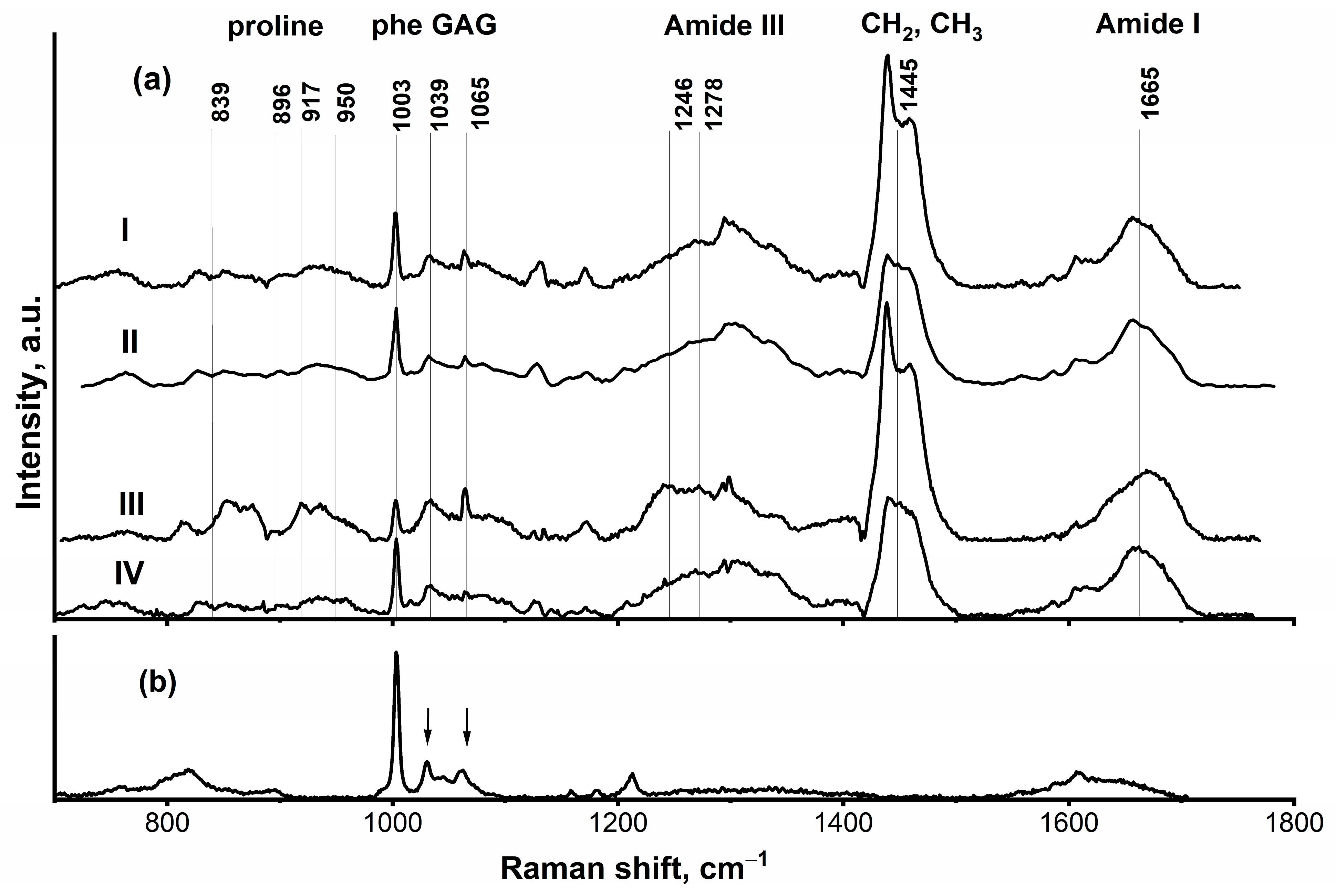 Molecules 31 00530 g005 Molecules 31 00530 g005