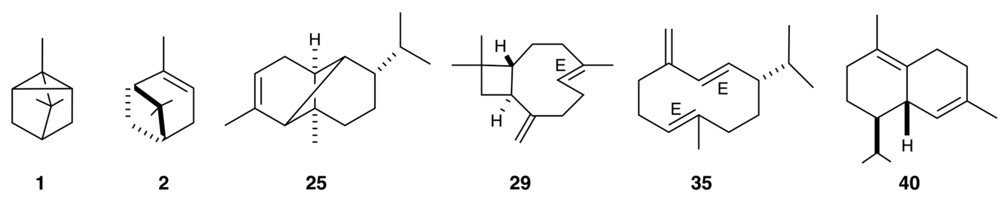 Molecules 31 00532 g001 Molecules 31 00532 g001