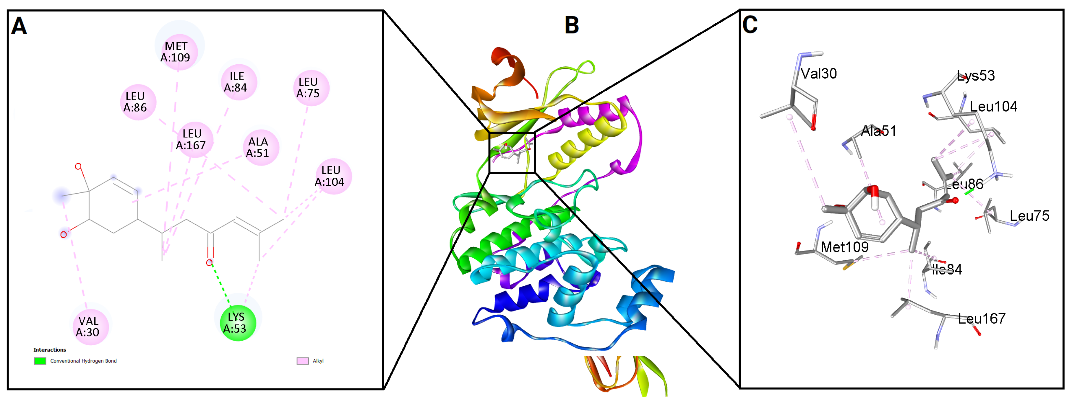 Molecules 31 00548 g009 Molecules 31 00548 g009
