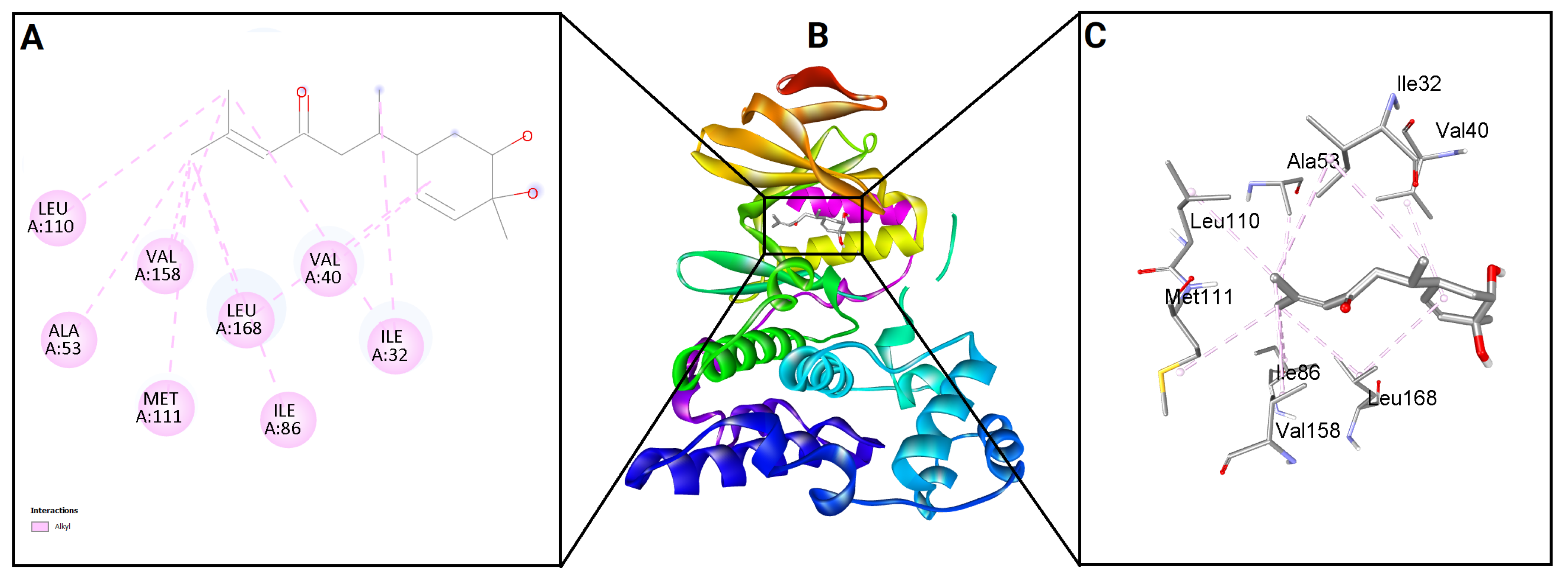 Molecules 31 00548 g010 Molecules 31 00548 g010