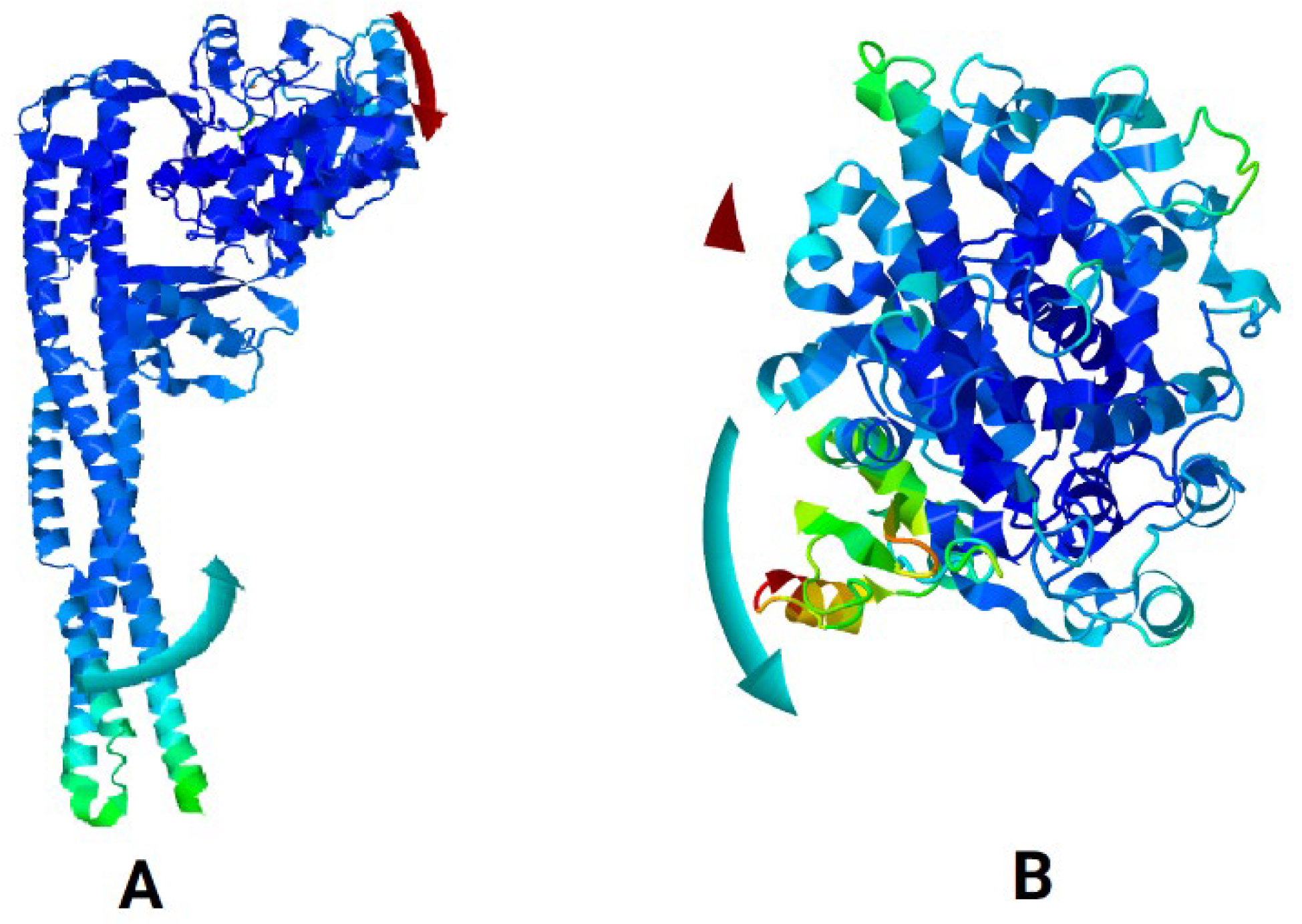 Molecules 31 00548 g015 Molecules 31 00548 g015