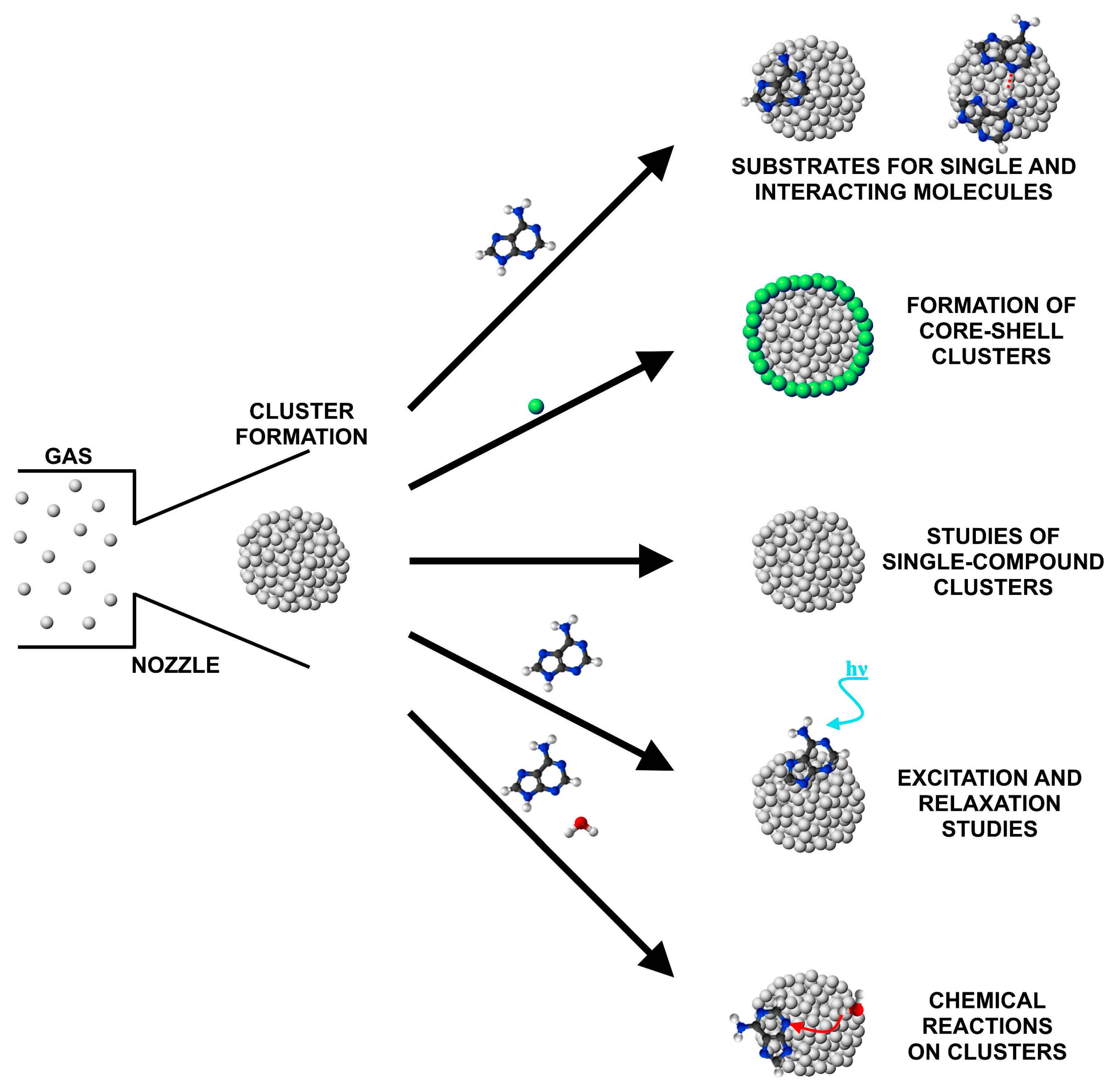 Molecules 31 00553 sch001 Molecules 31 00553 sch001