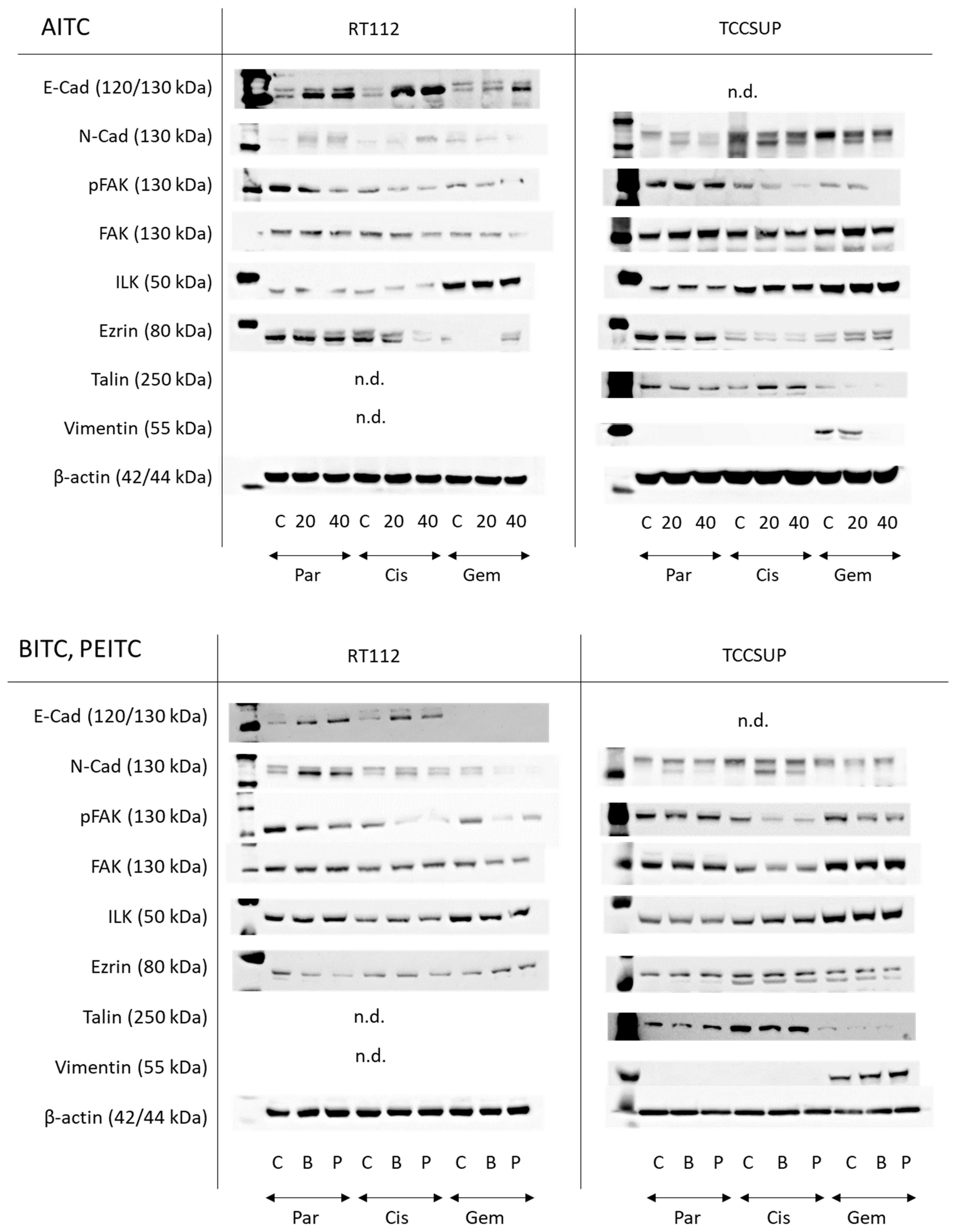 Molecules 31 00555 g008