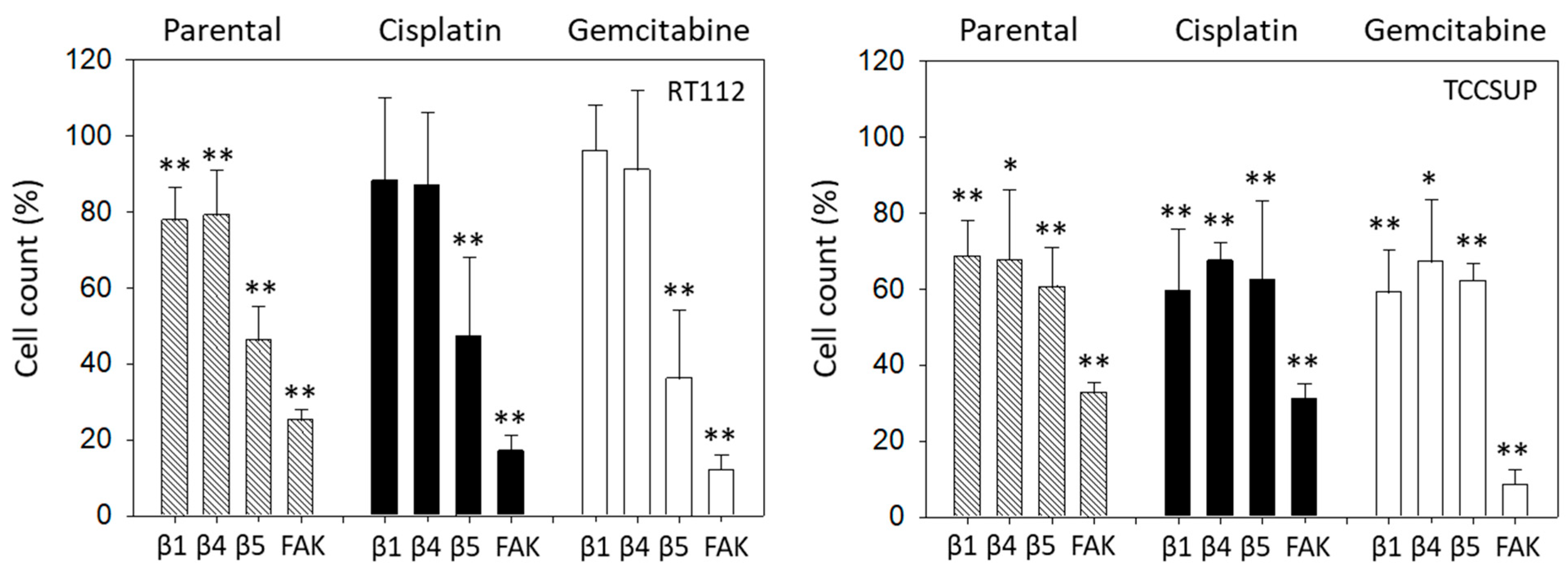 Molecules 31 00555 g009
