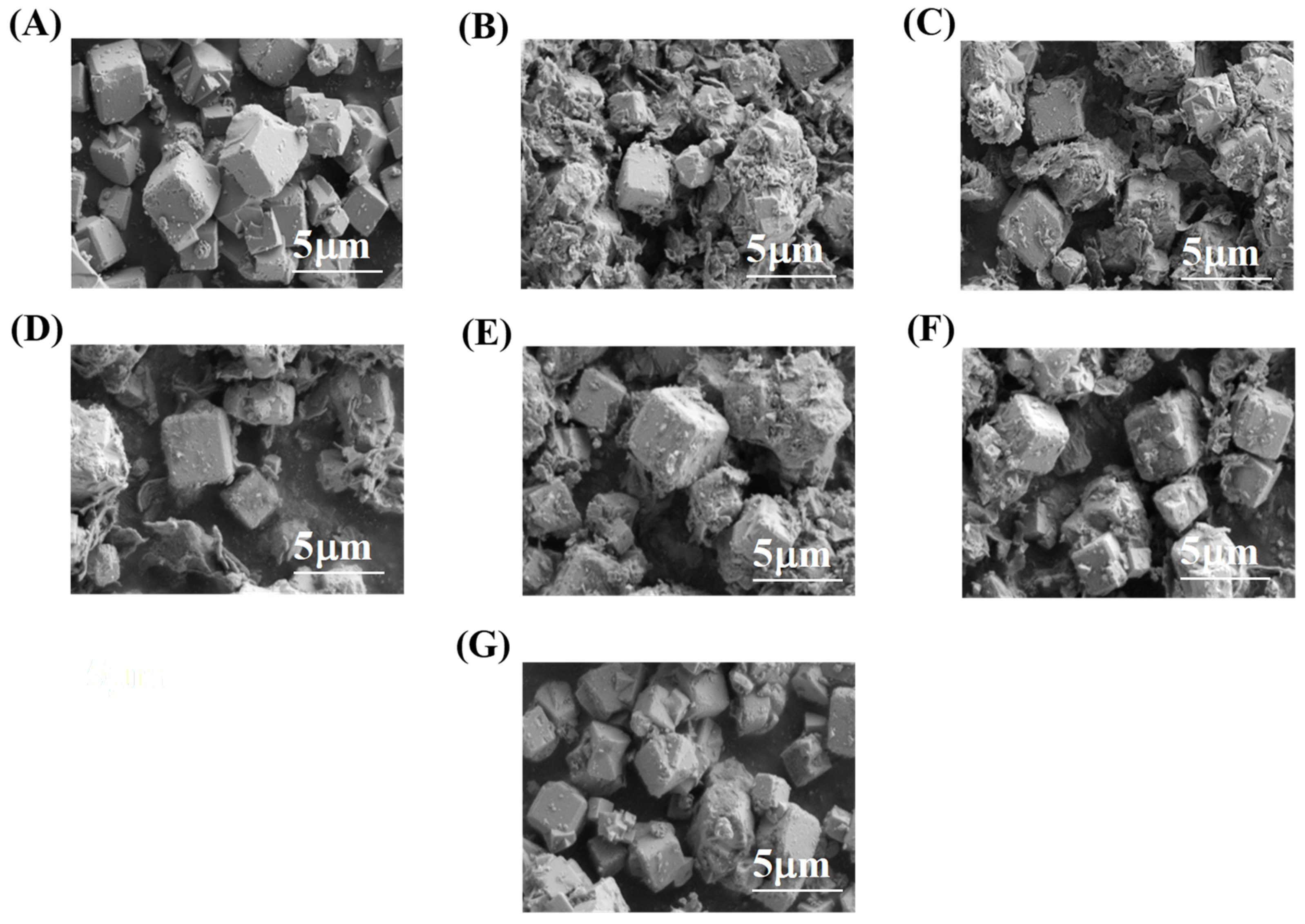 Molecules 31 00564 g005