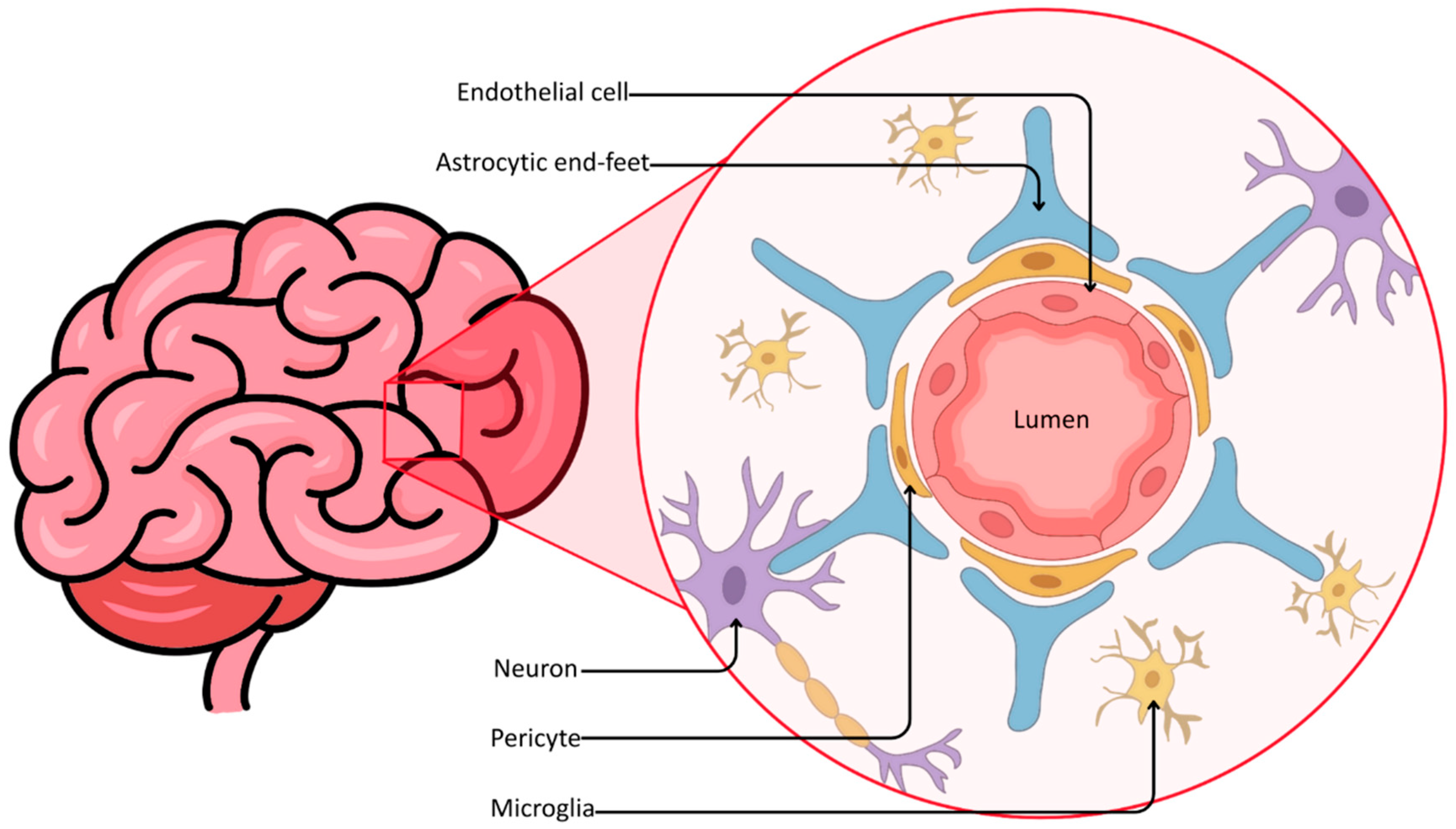 Molecules 31 00565 g001