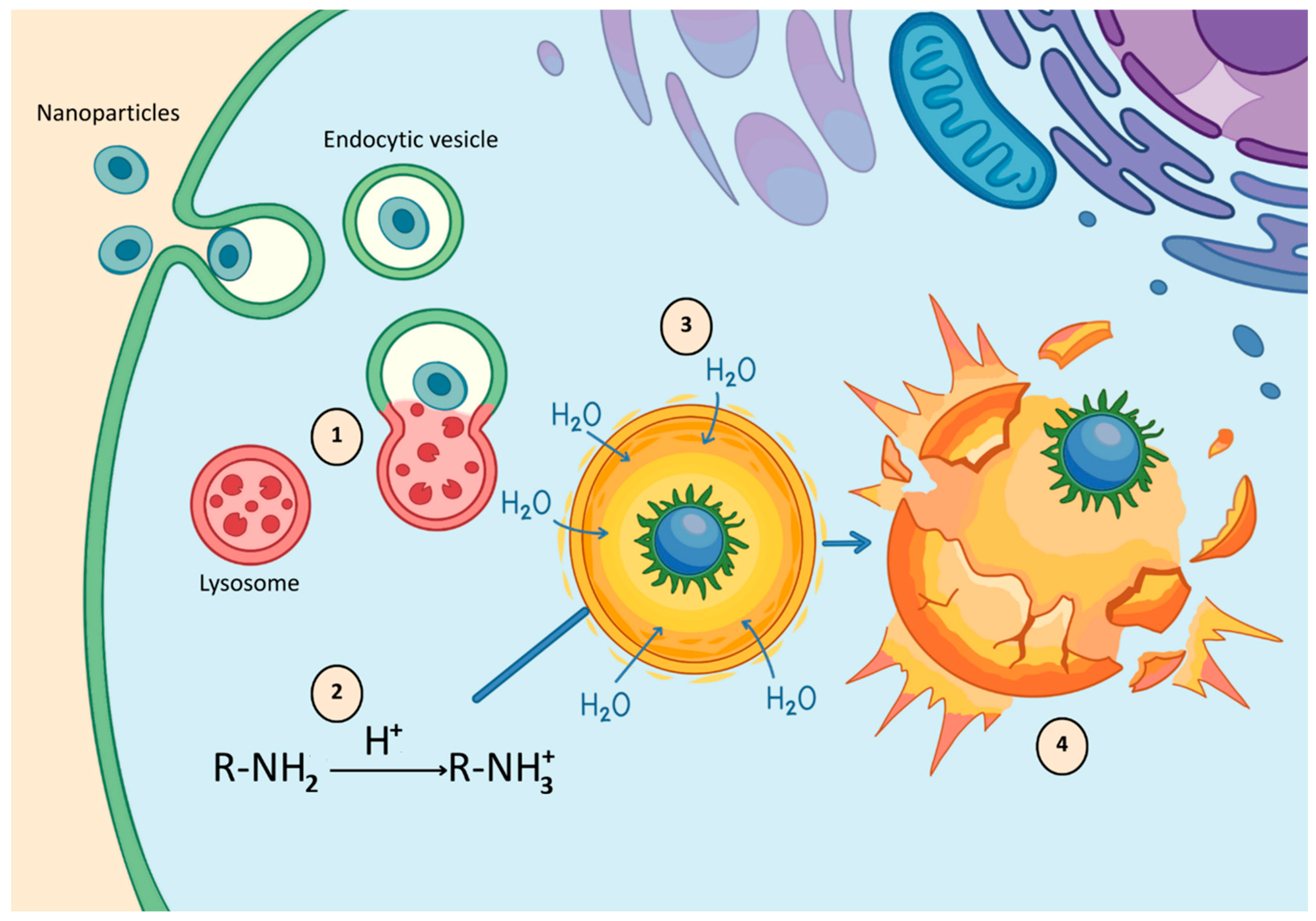 Molecules 31 00565 g002