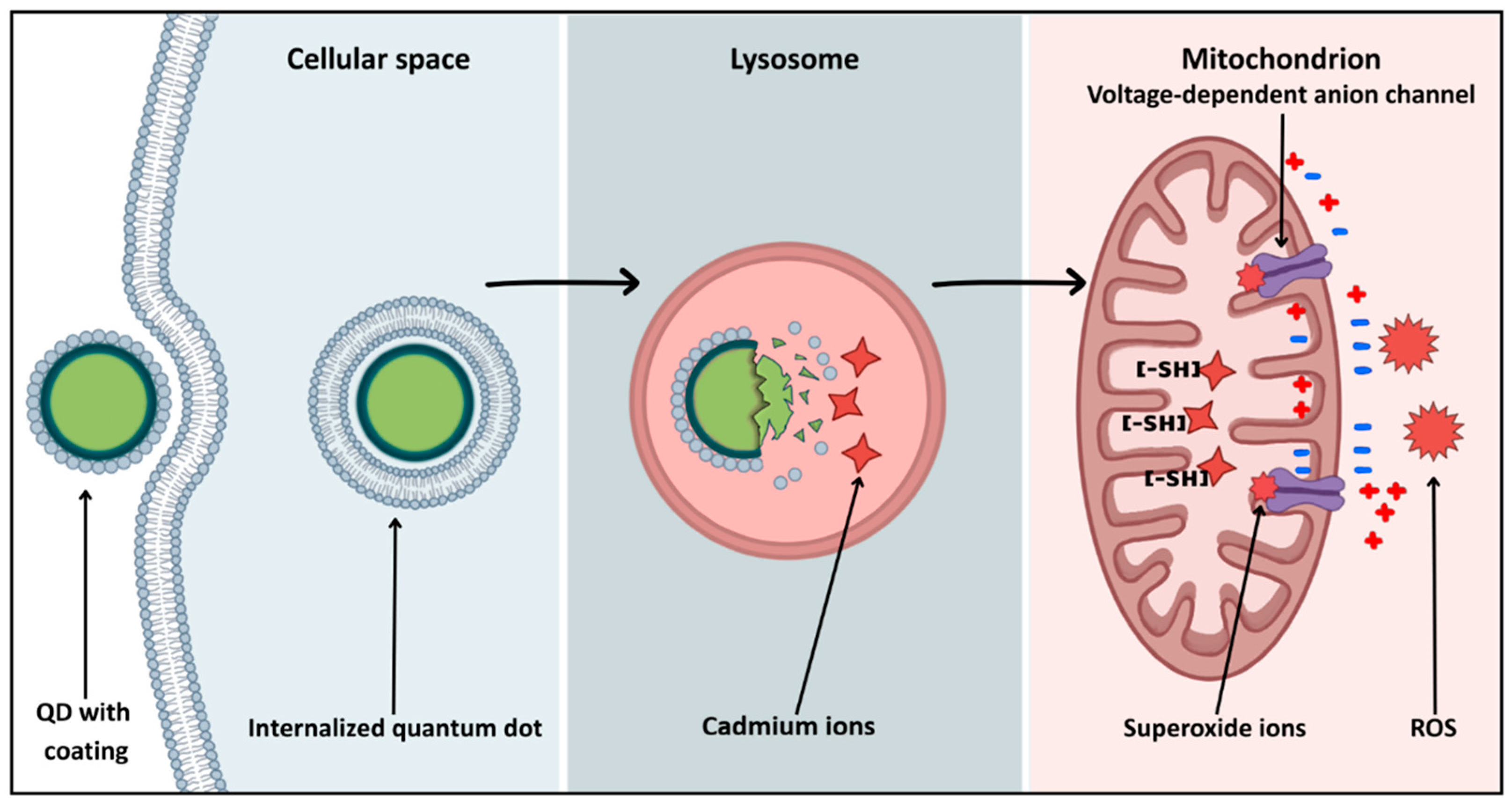 Molecules 31 00565 g003