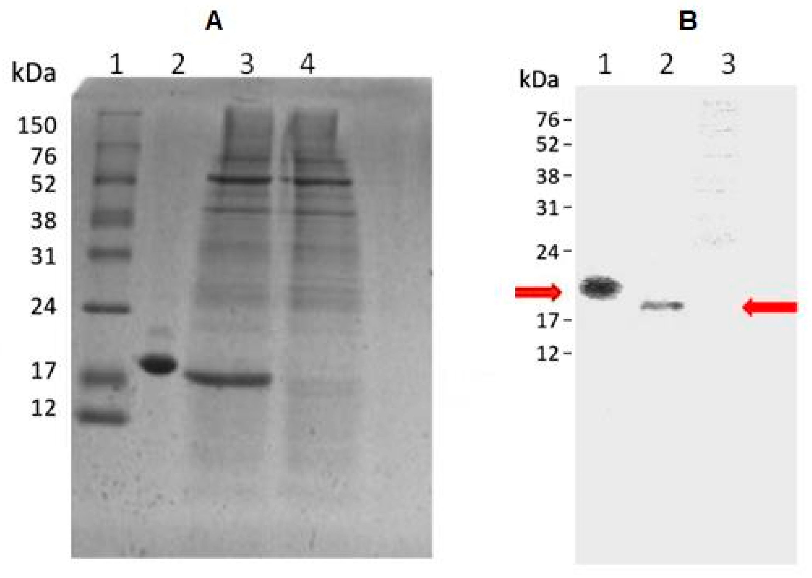 Molecules 31 00572 g001