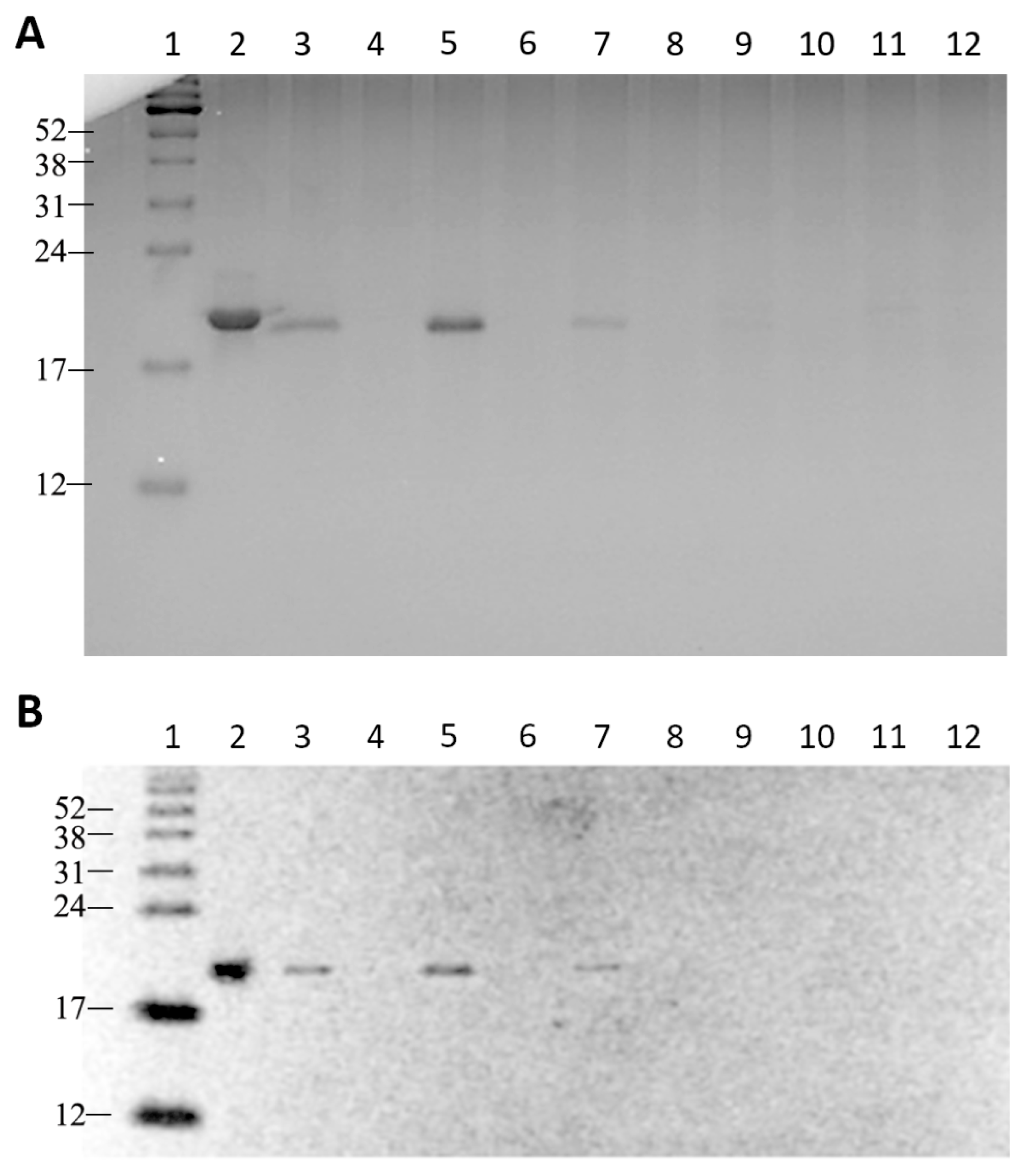 Molecules 31 00572 g004