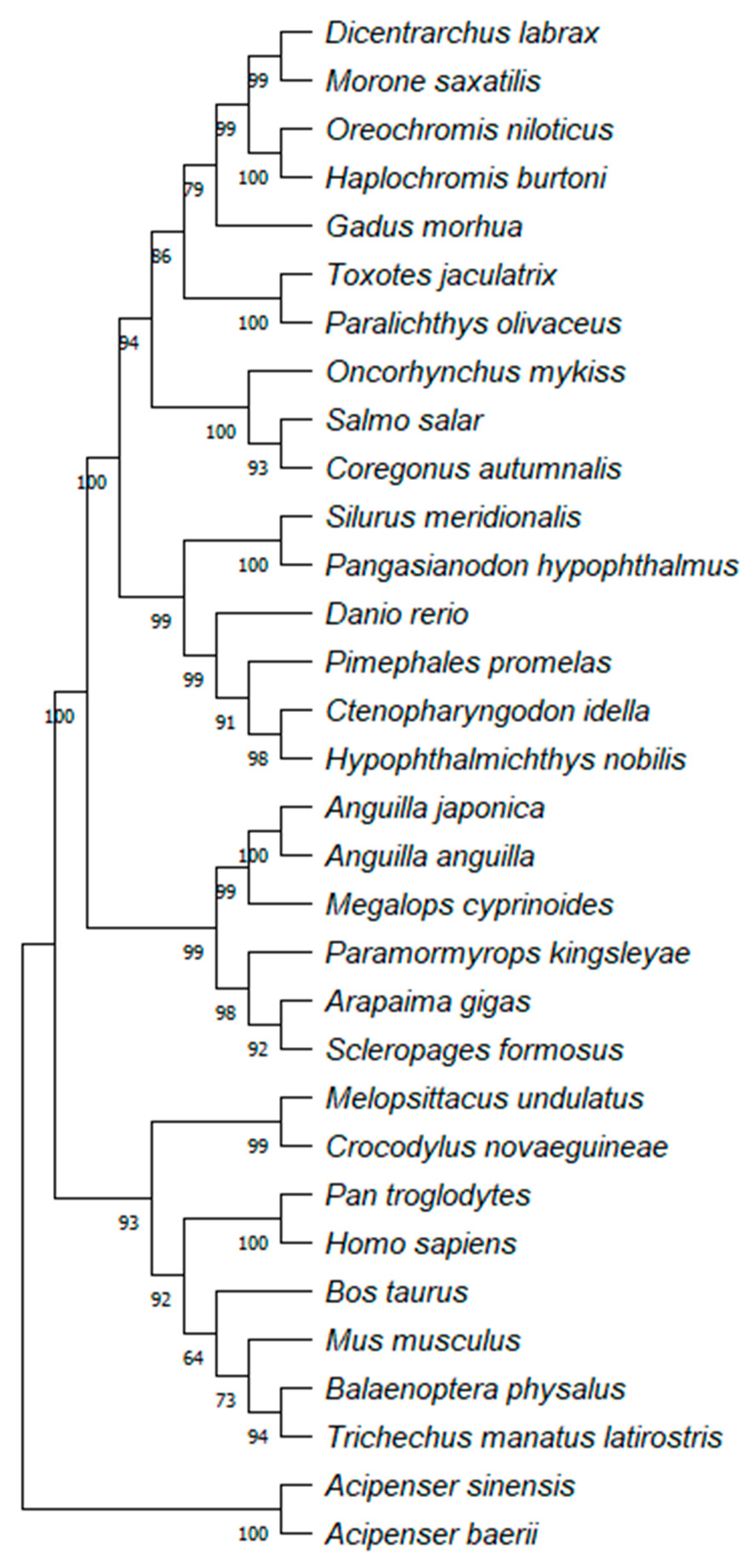 Molecules 31 00572 g006