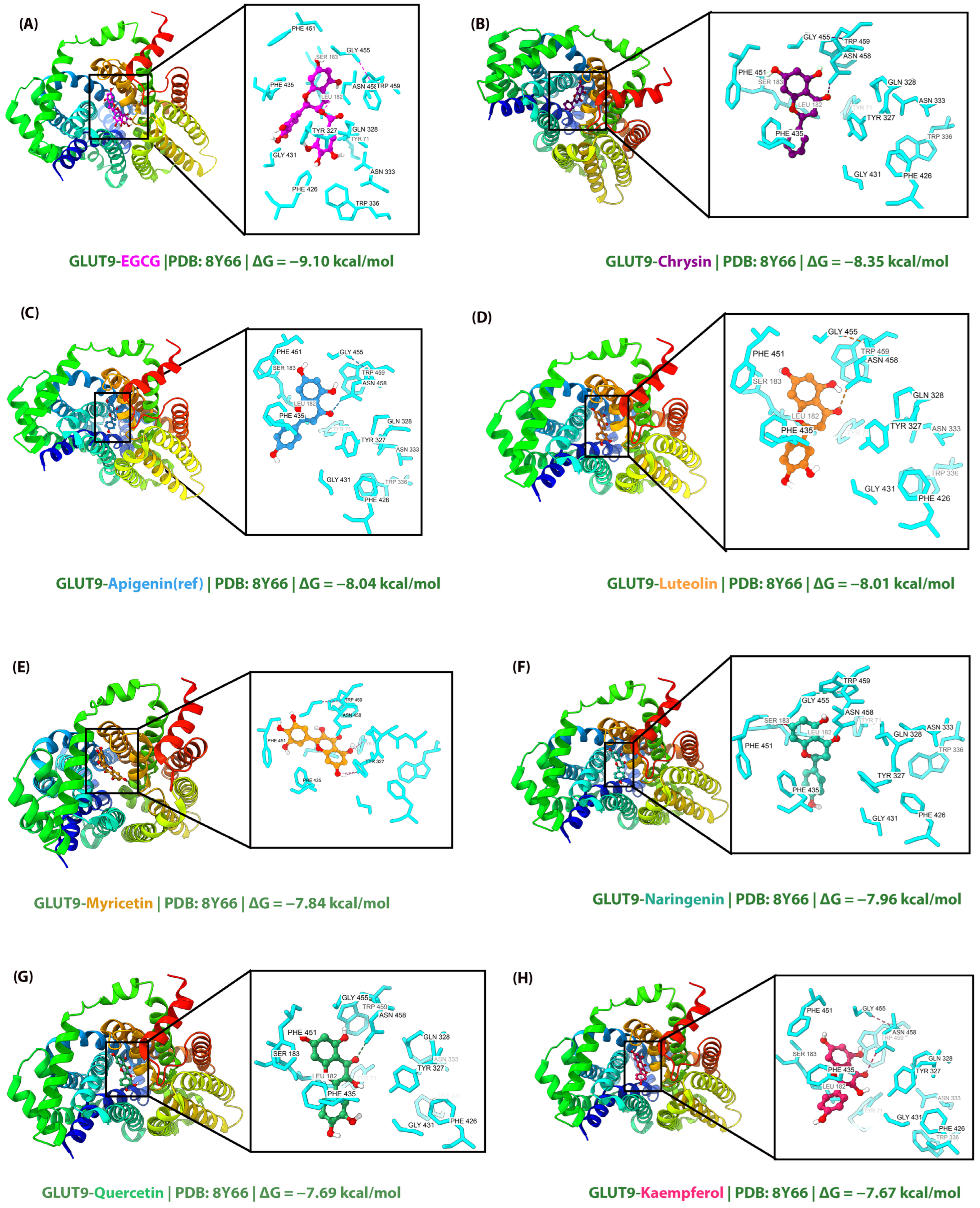 Molecules 31 00593 g001 Molecules 31 00593 g001