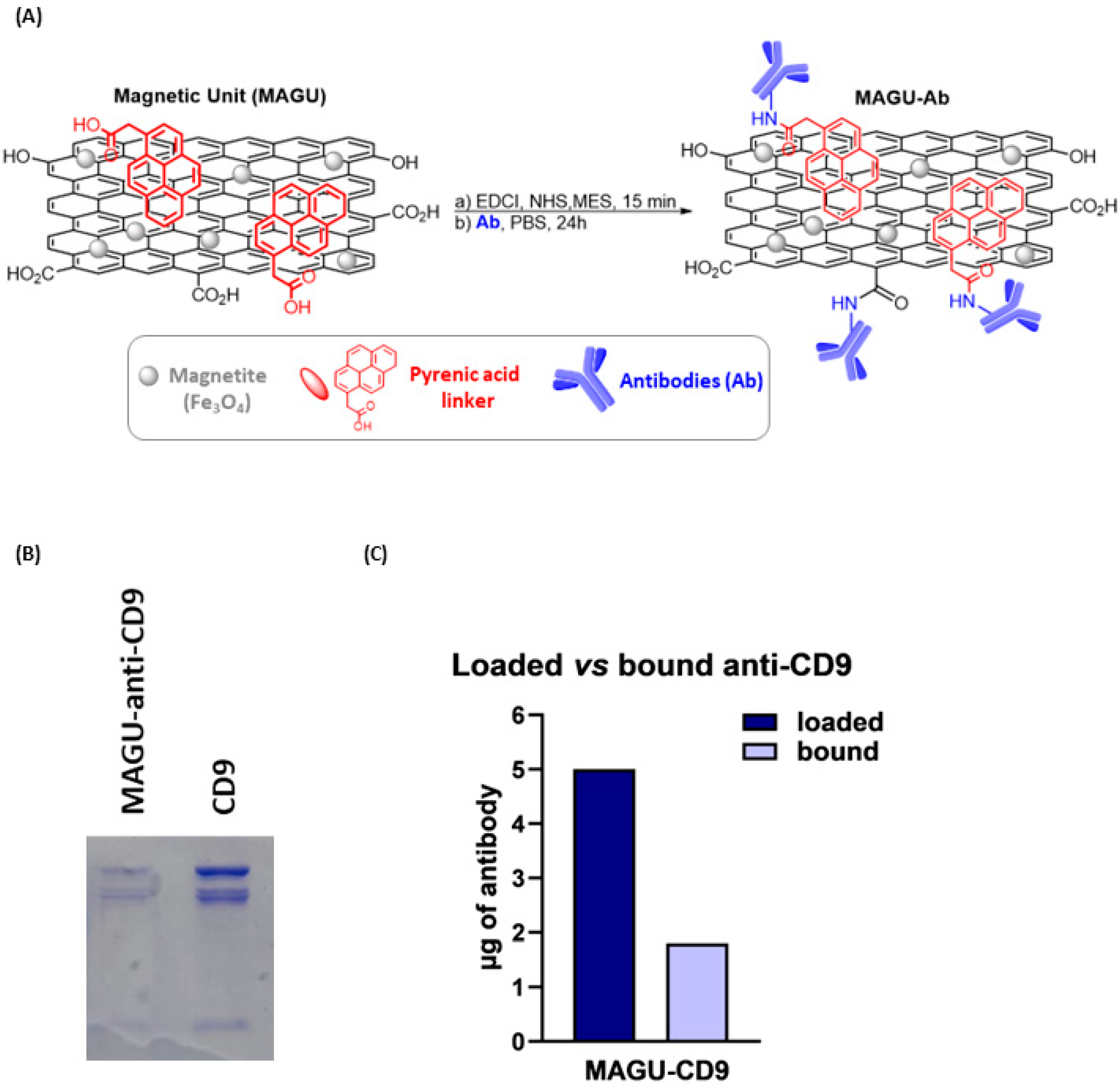 Molecules 31 00612 g003