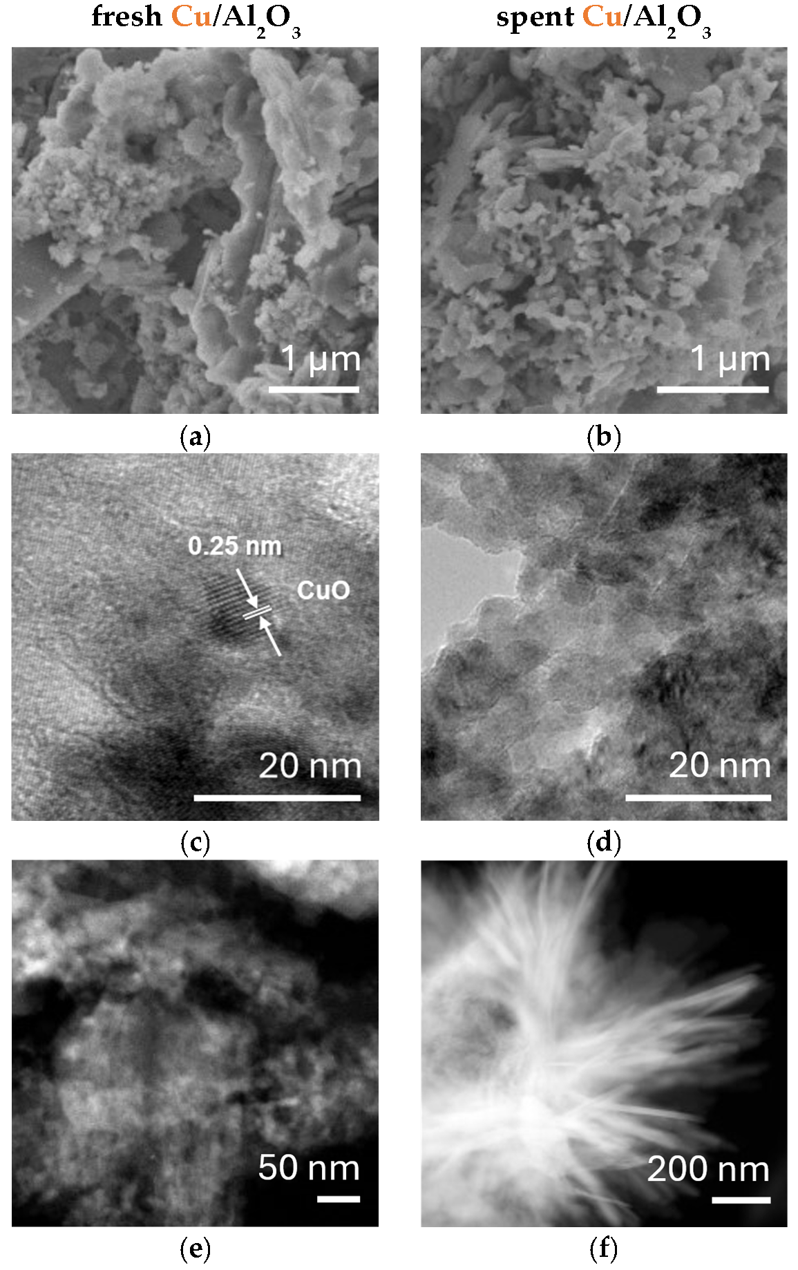 Molecules 31 00626 g008