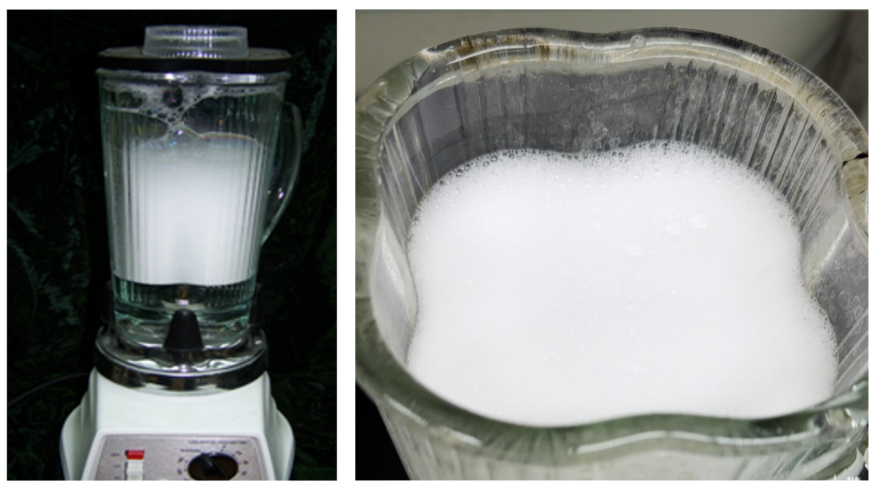 Molecules 31 00642 g005