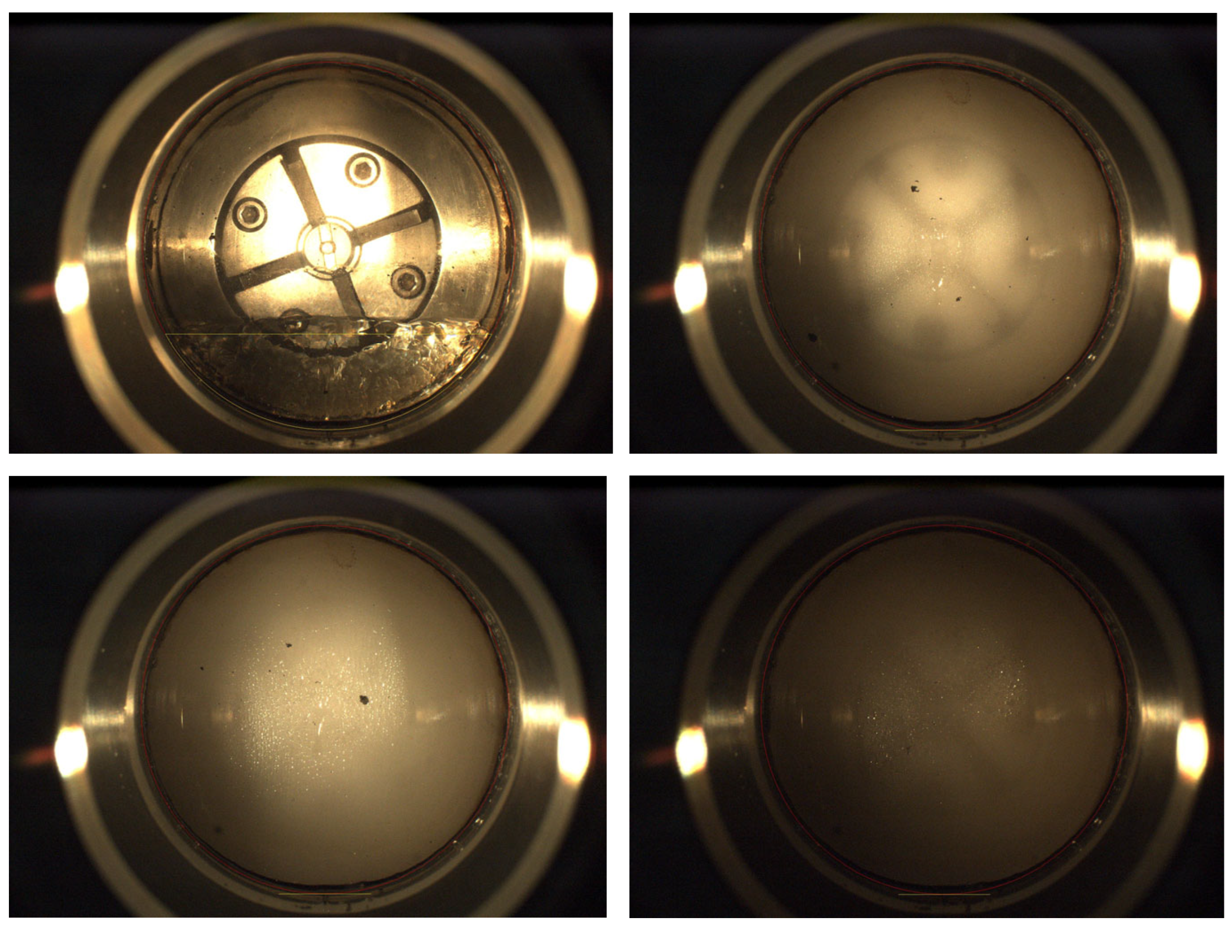 Molecules 31 00642 g006