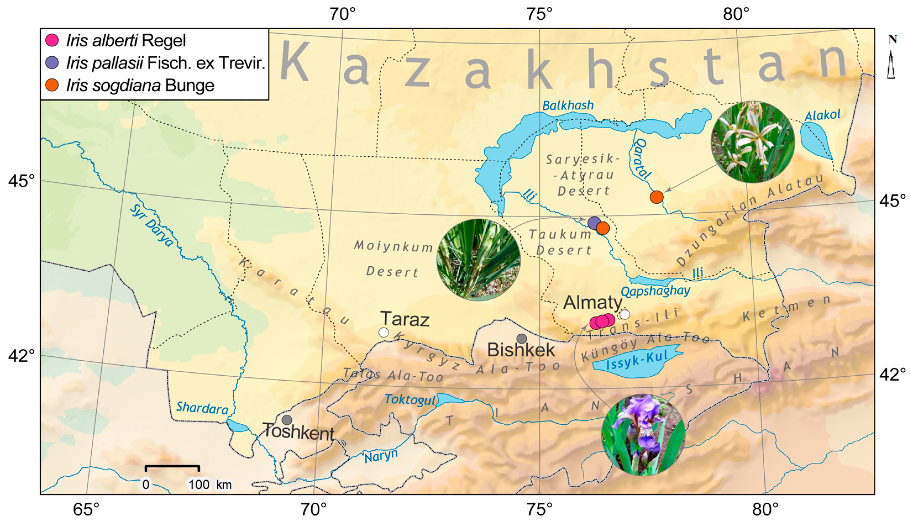 Molecules 31 00643 g001