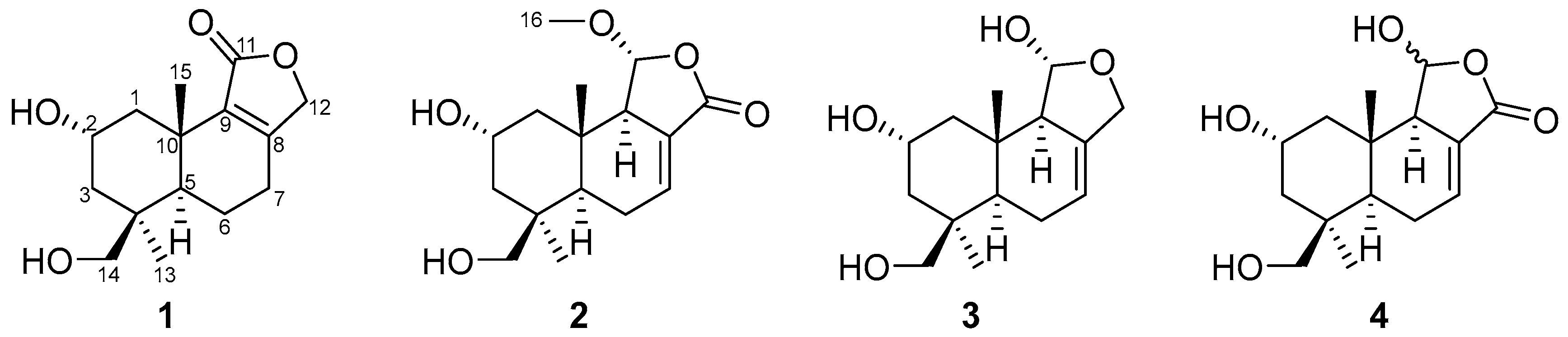 Molecules 31 00645 g001