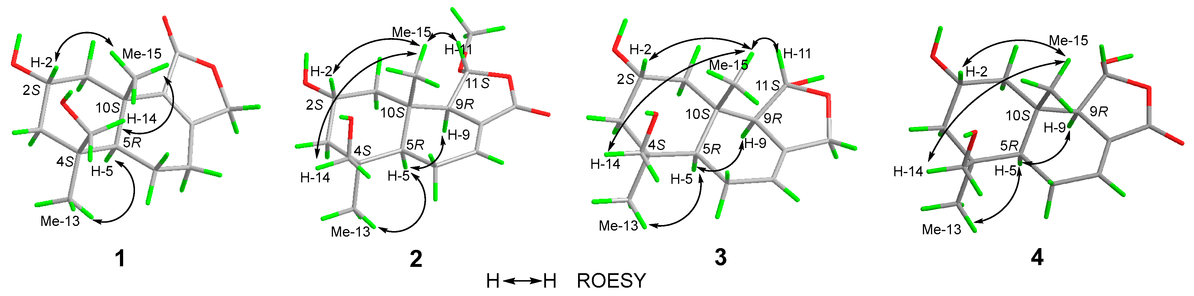 Molecules 31 00645 g003