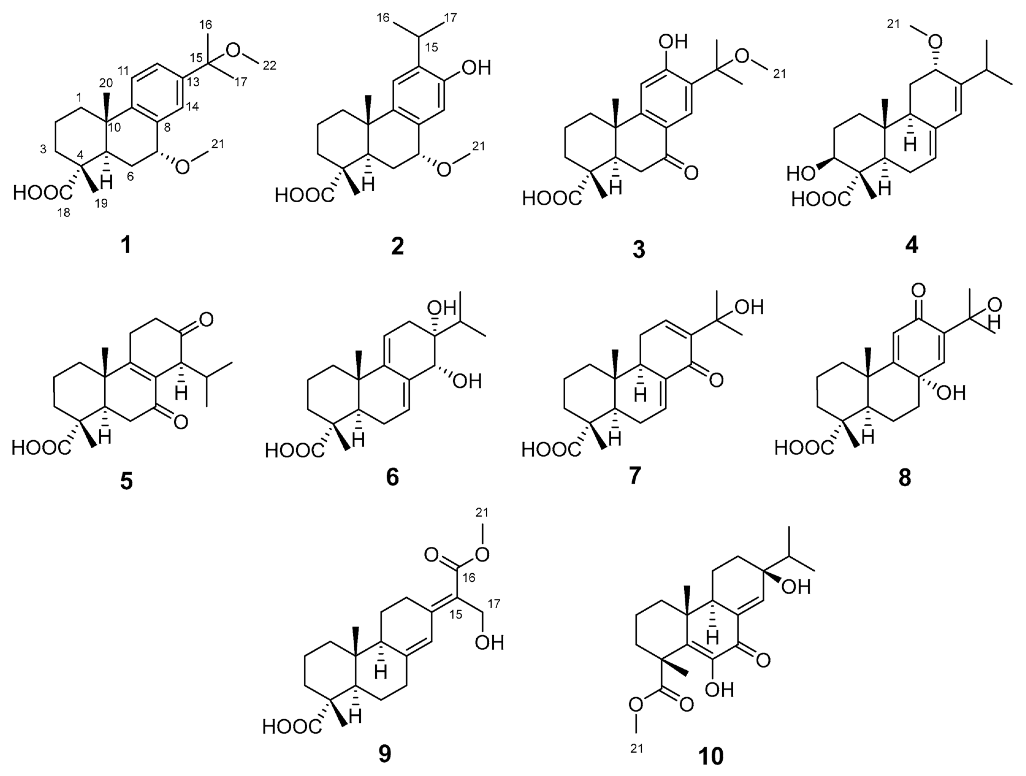 Molecules 31 00659 g001