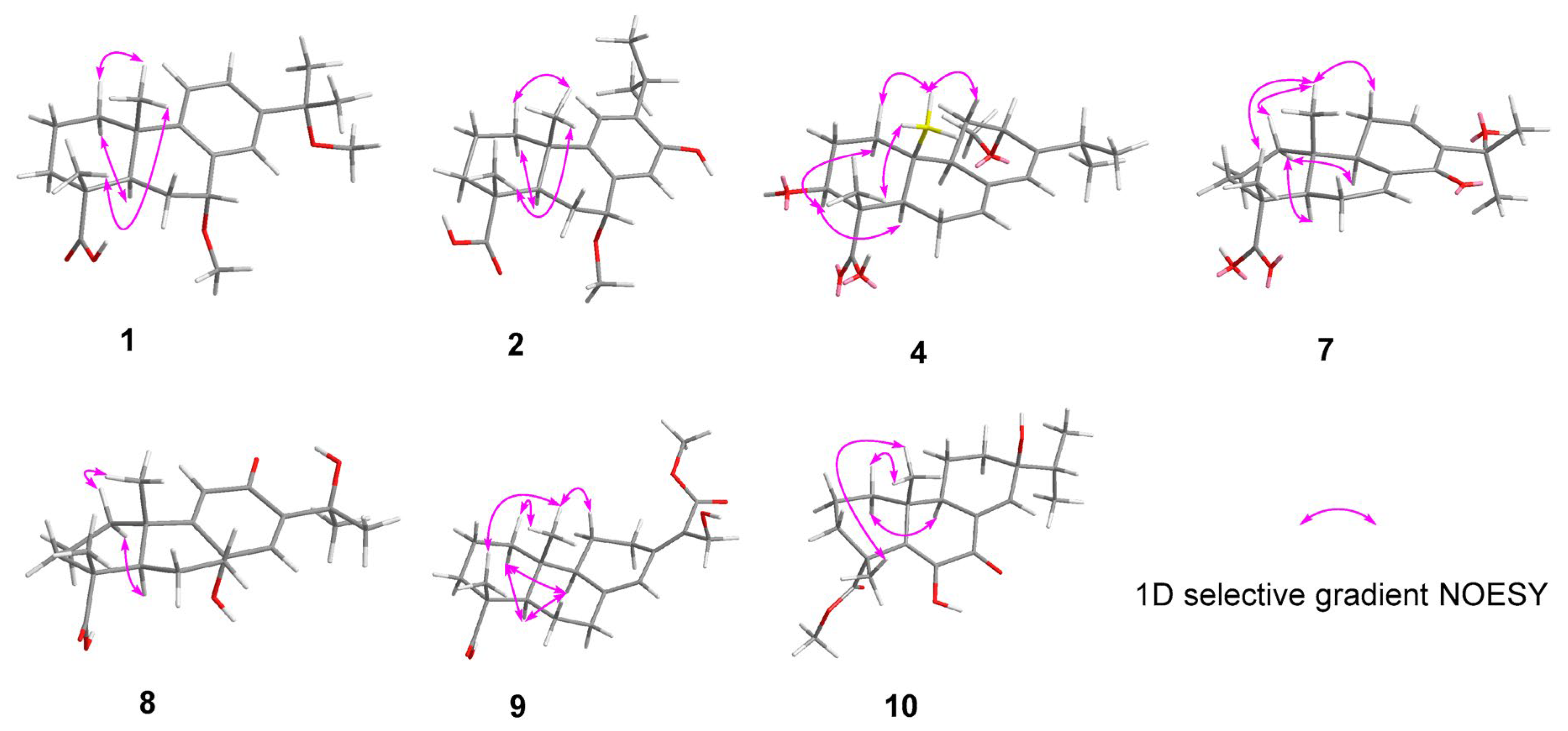 Molecules 31 00659 g003