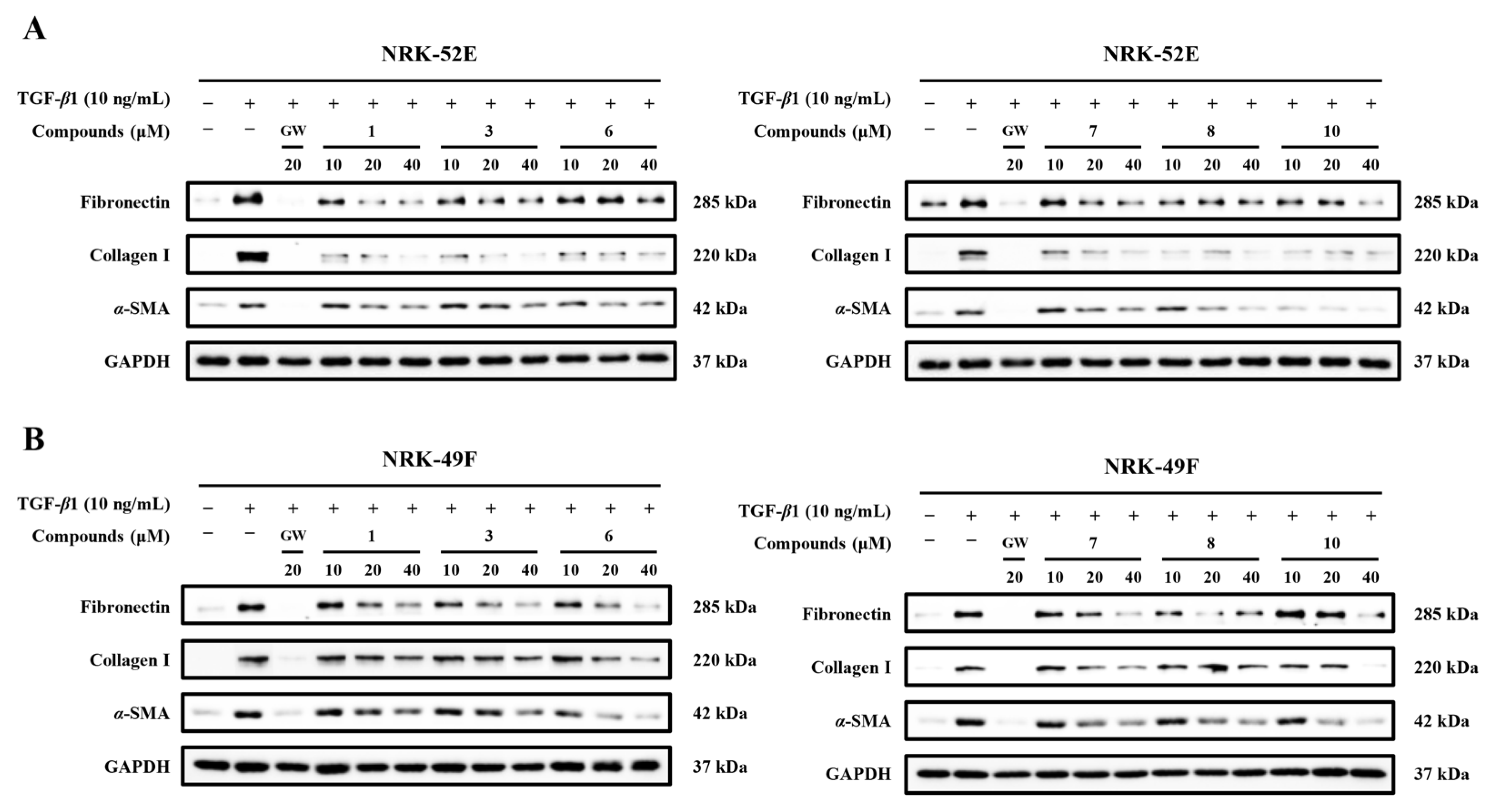 Molecules 31 00659 g007