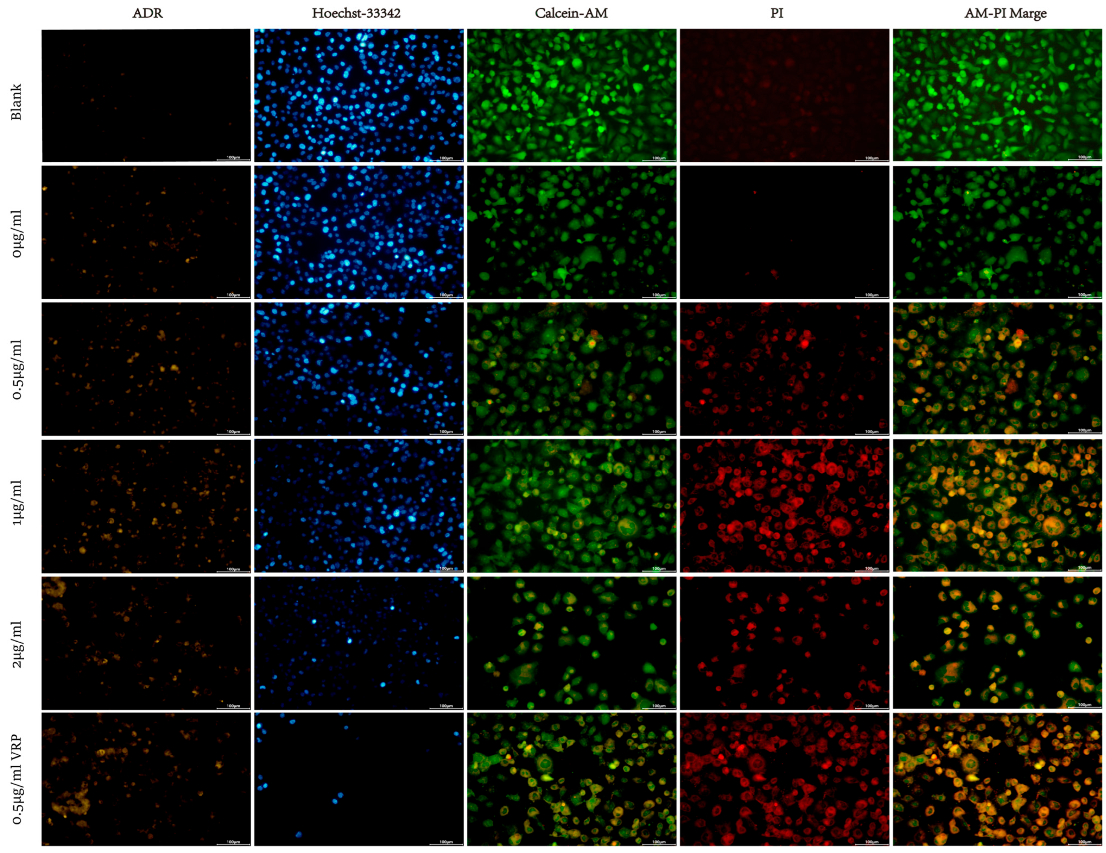 Molecules 31 00660 g007