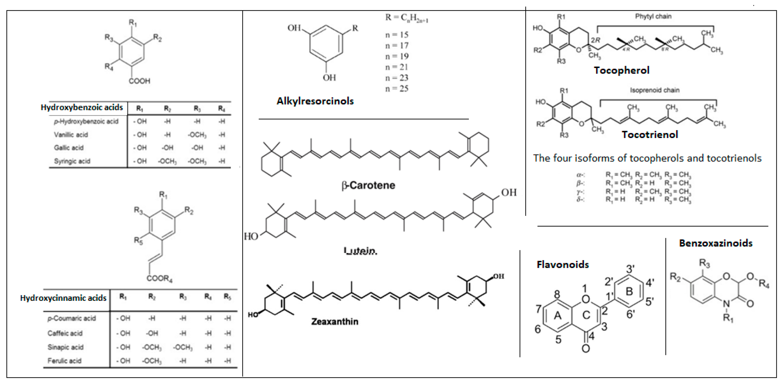 Molecules 31 00667 g001
