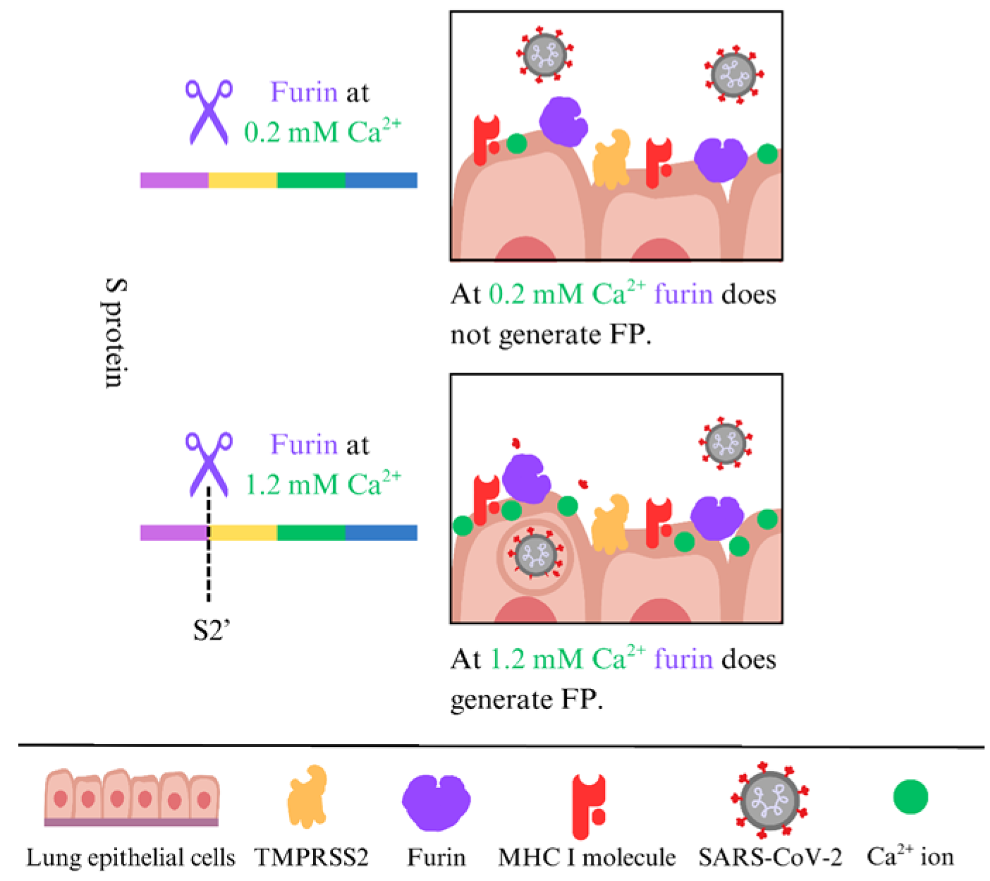 Molecules 31 00670 g001 Molecules 31 00670 g001