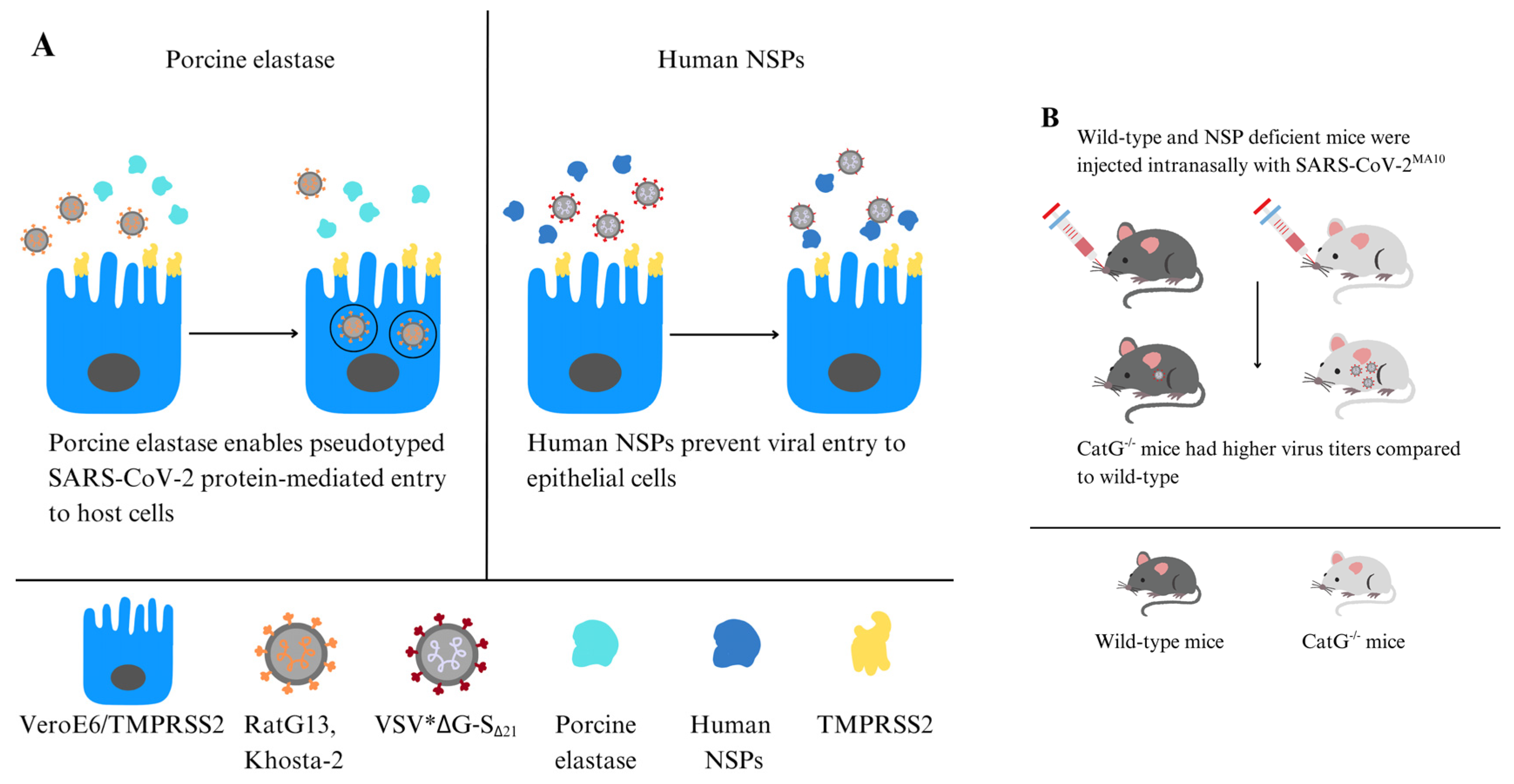 Molecules 31 00670 g002 Molecules 31 00670 g002