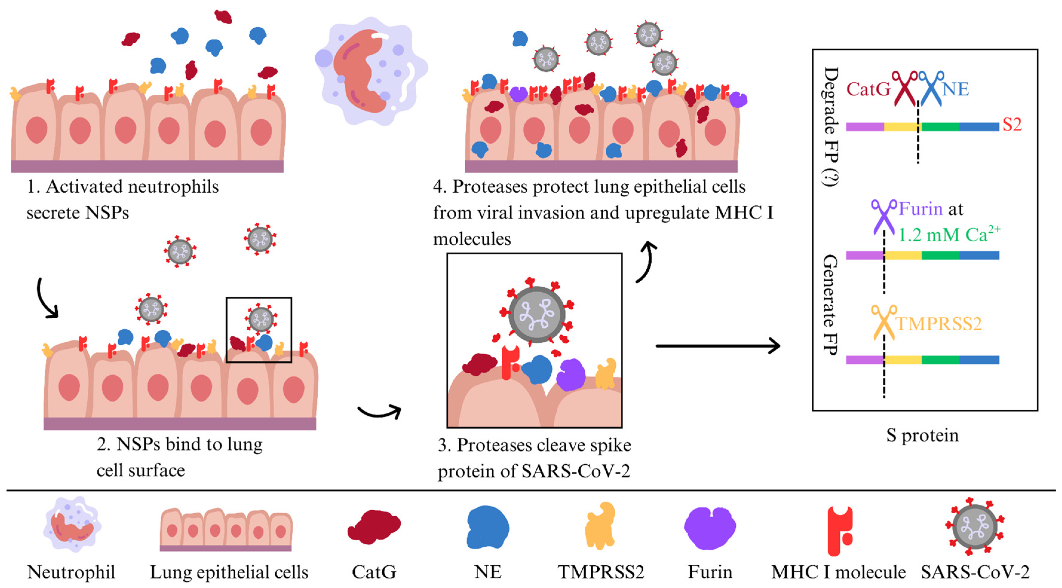 Molecules 31 00670 g003 Molecules 31 00670 g003