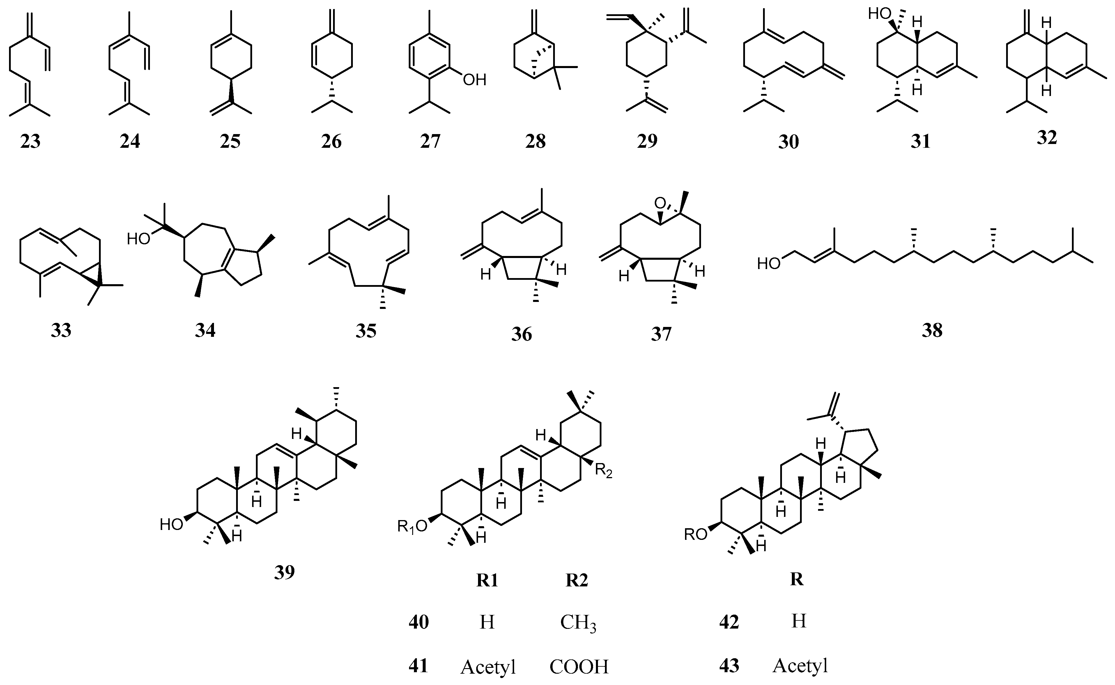 Molecules 31 00677 g004