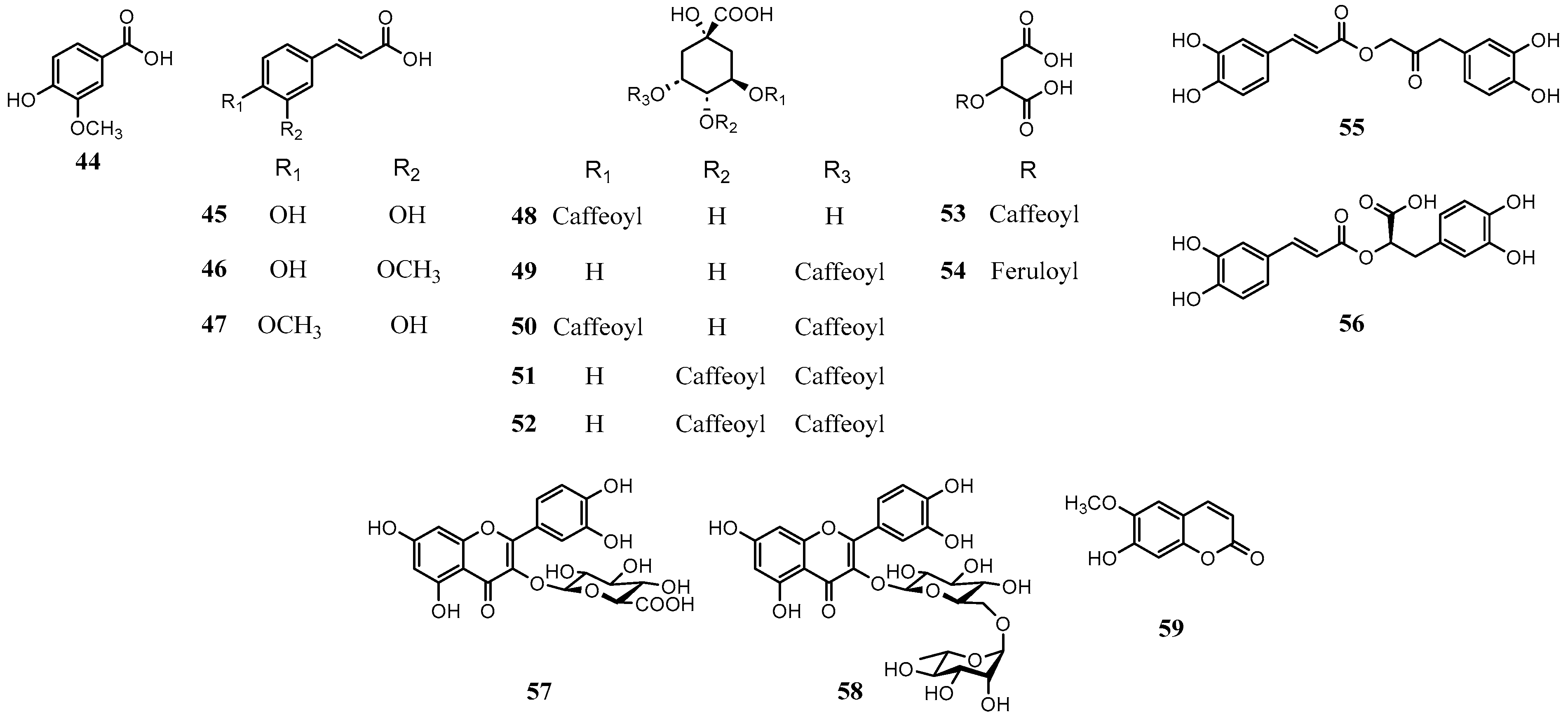 Molecules 31 00677 g005