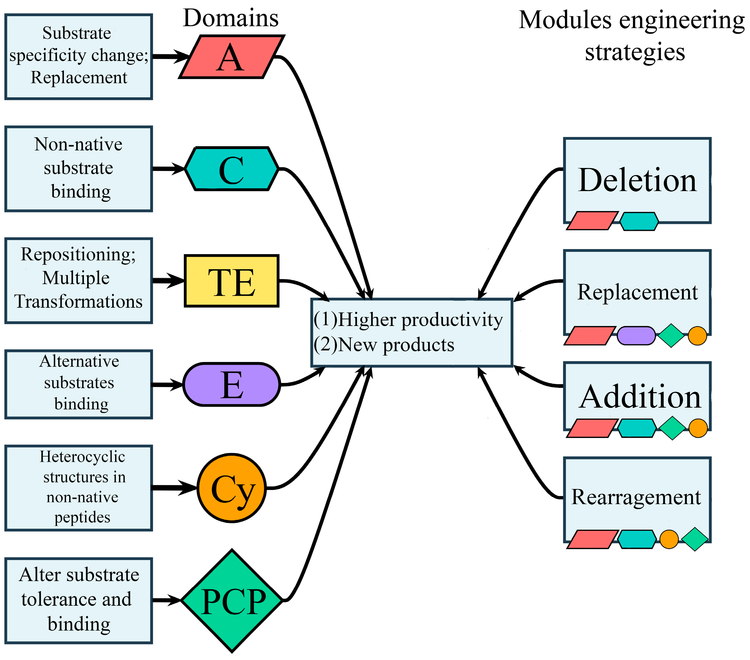 Molecules 31 00683 g001