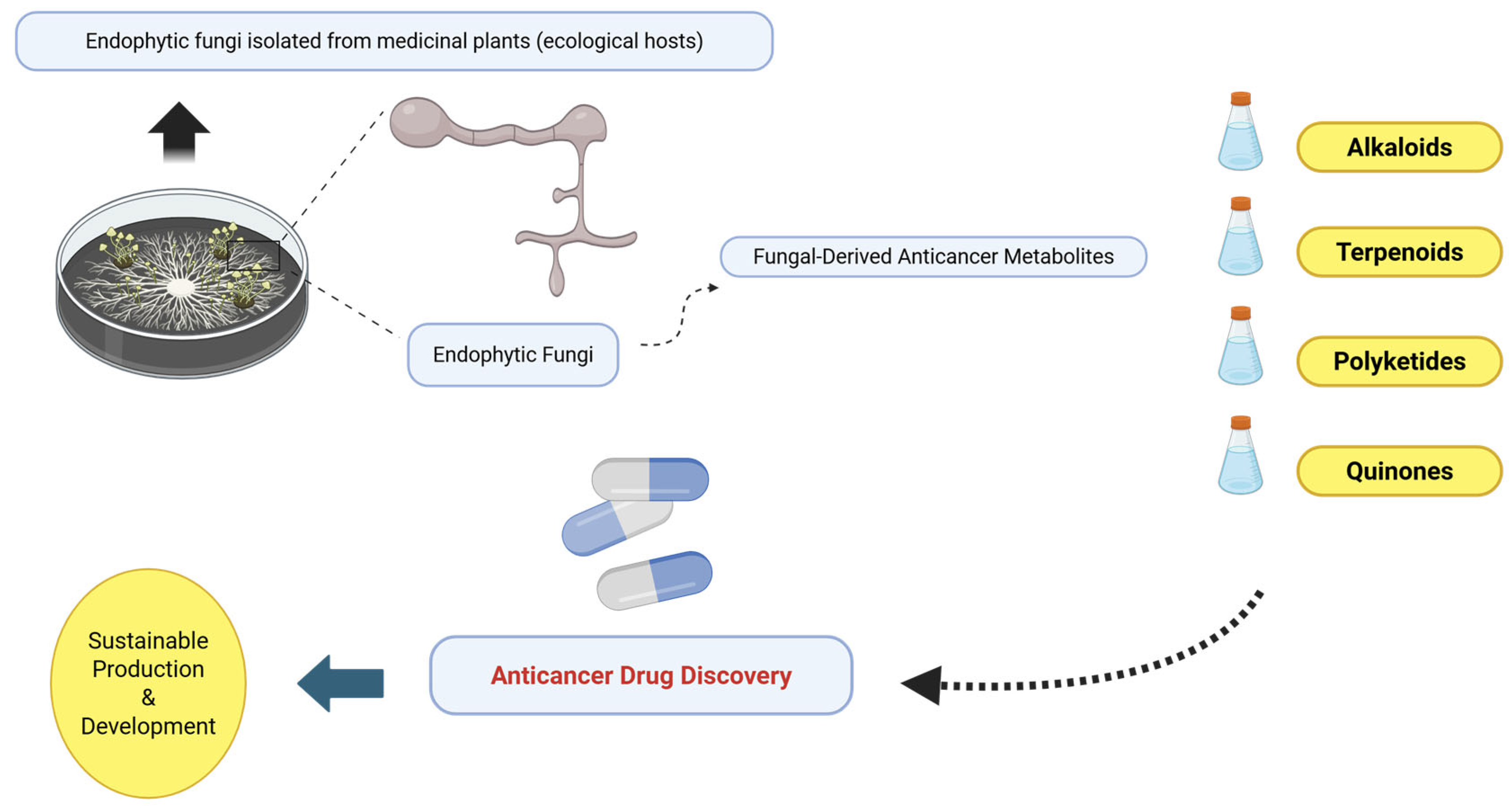 Molecules 31 00693 g002