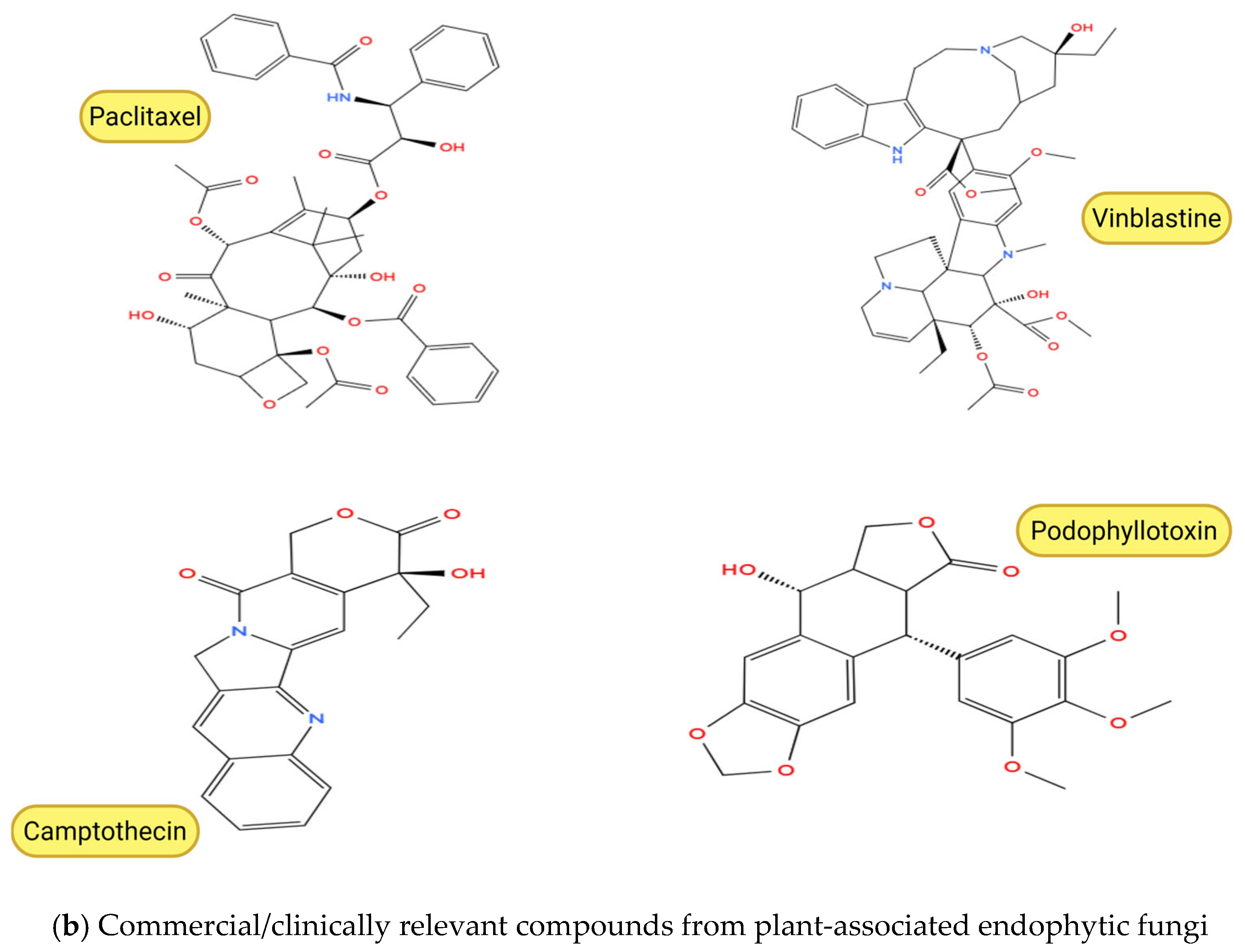 Molecules 31 00693 g003b