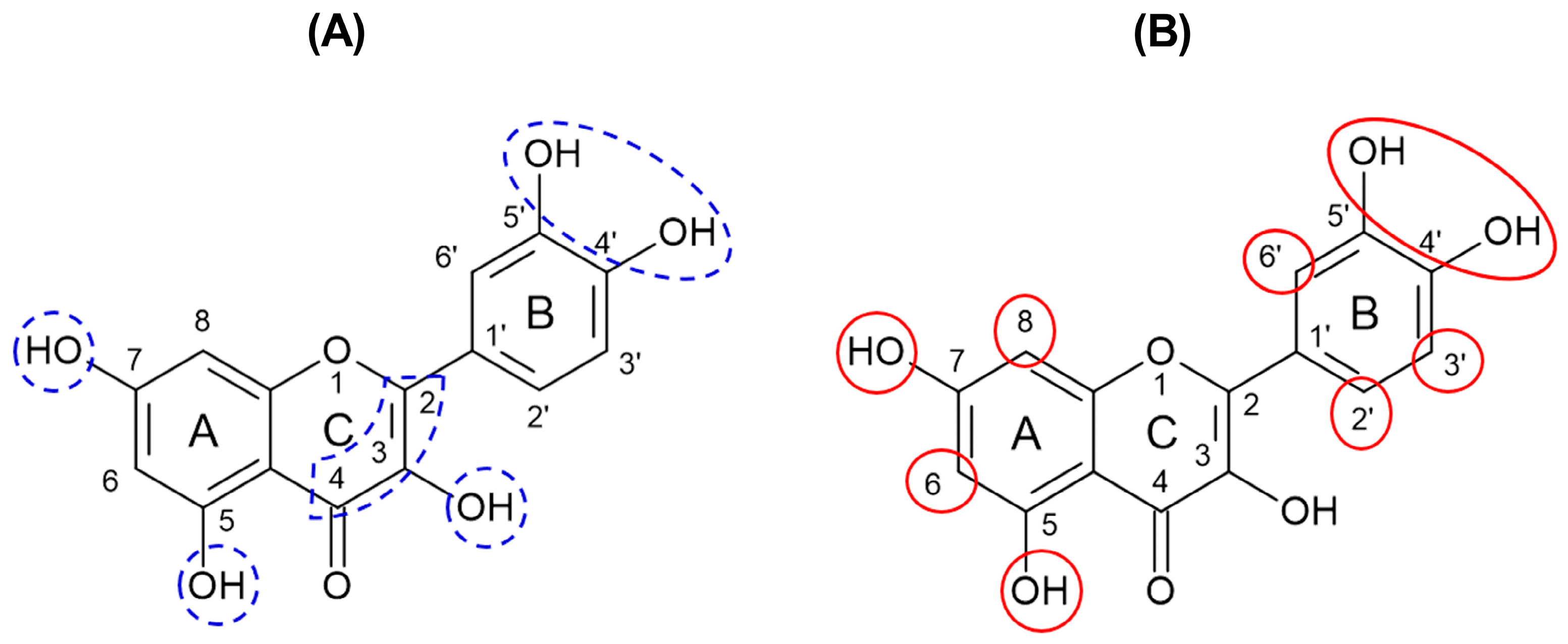 Molecules 31 00697 g007
