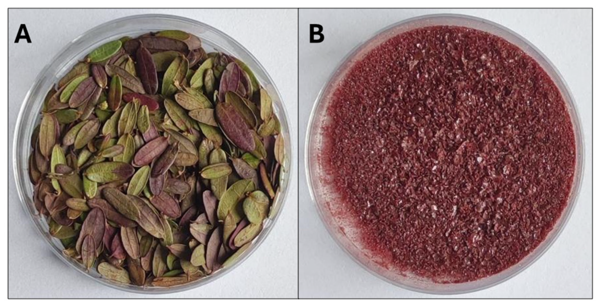 Molecules 31 00698 g004