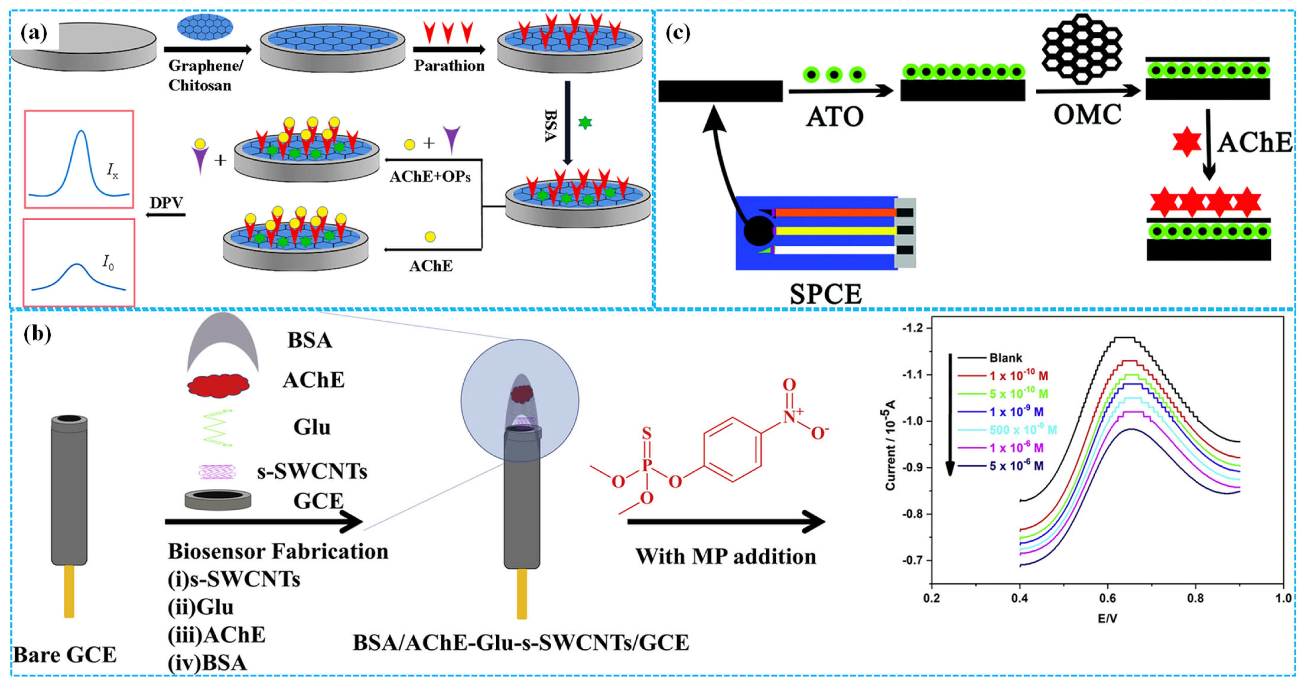 Molecules 31 00717 g003