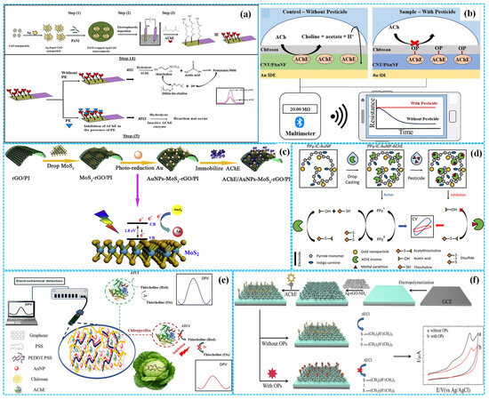 Molecules 31 00717 g004