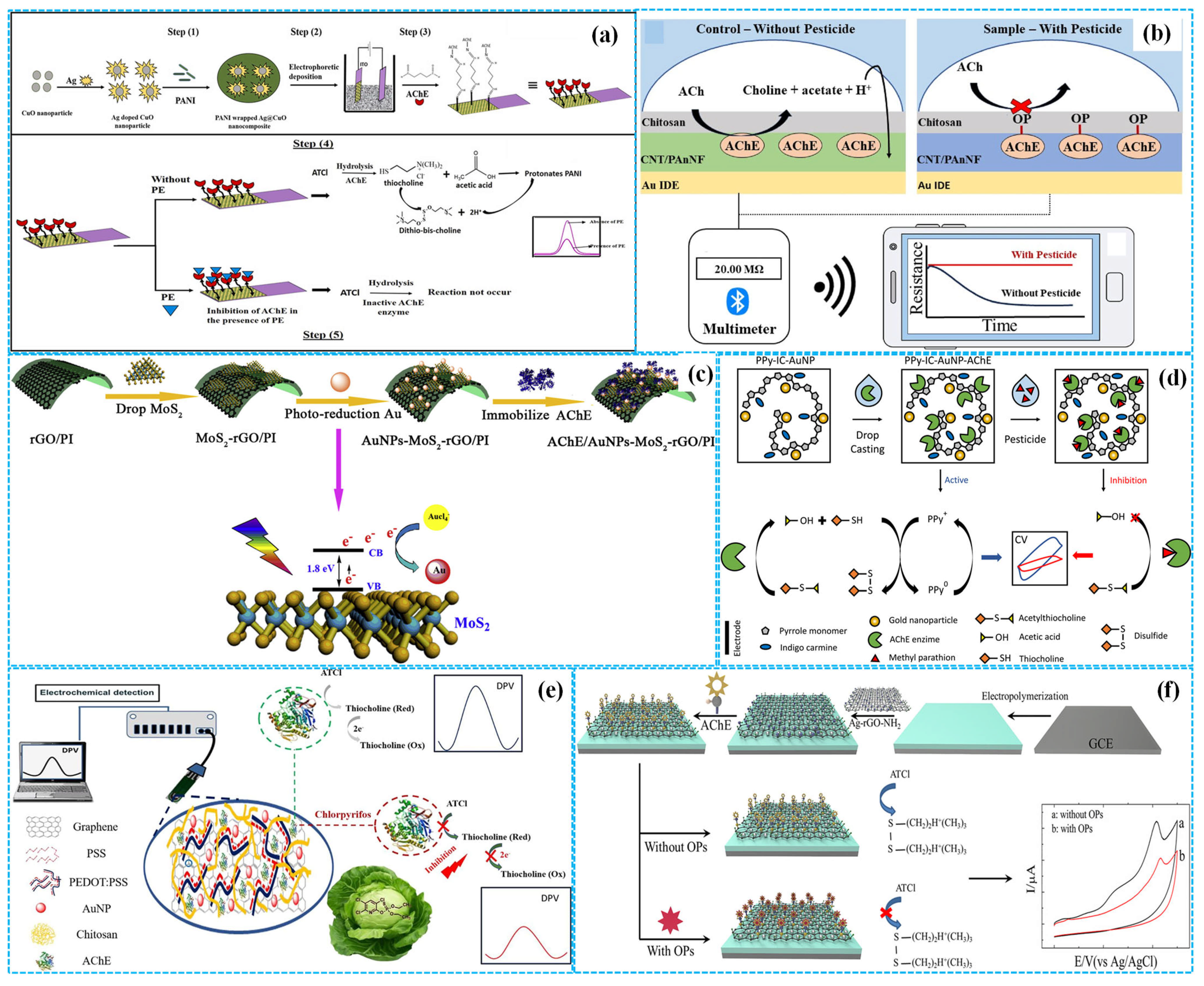 Molecules 31 00717 g004