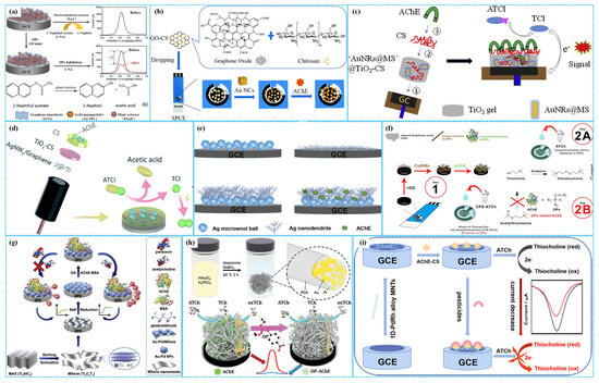 Molecules 31 00717 g005