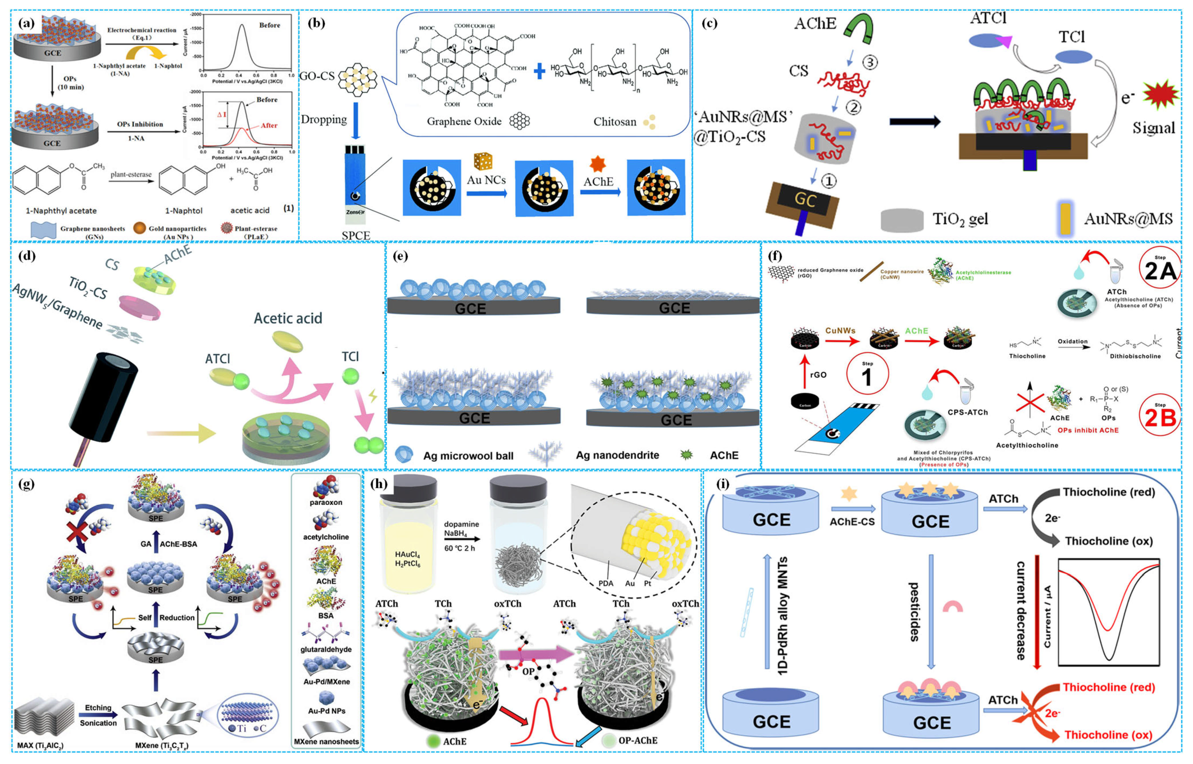 Molecules 31 00717 g005