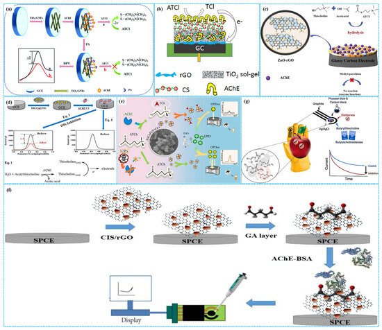 Molecules 31 00717 g006