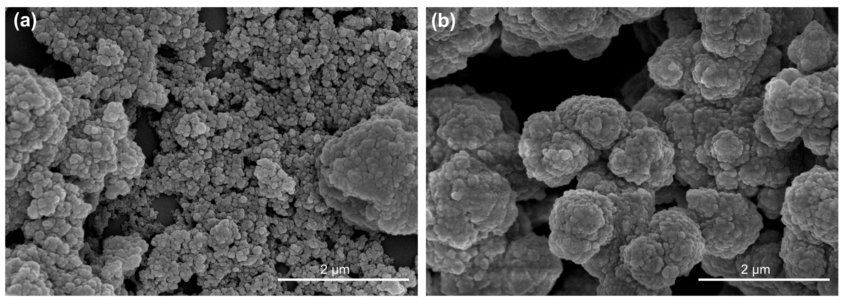 Molecules 31 00729 g001 Molecules 31 00729 g001